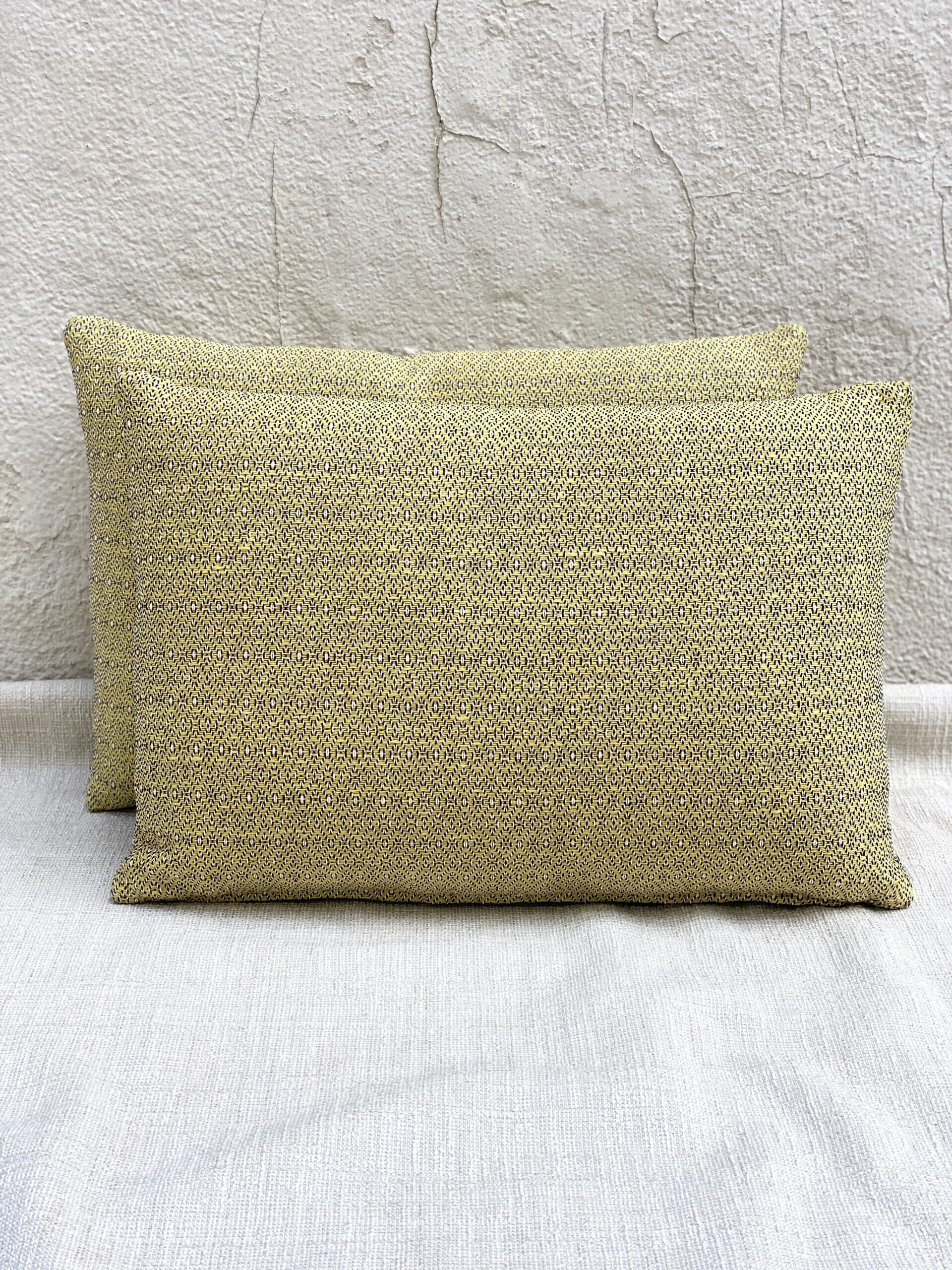 Paris Lapres-Midi Gobelins Pillows