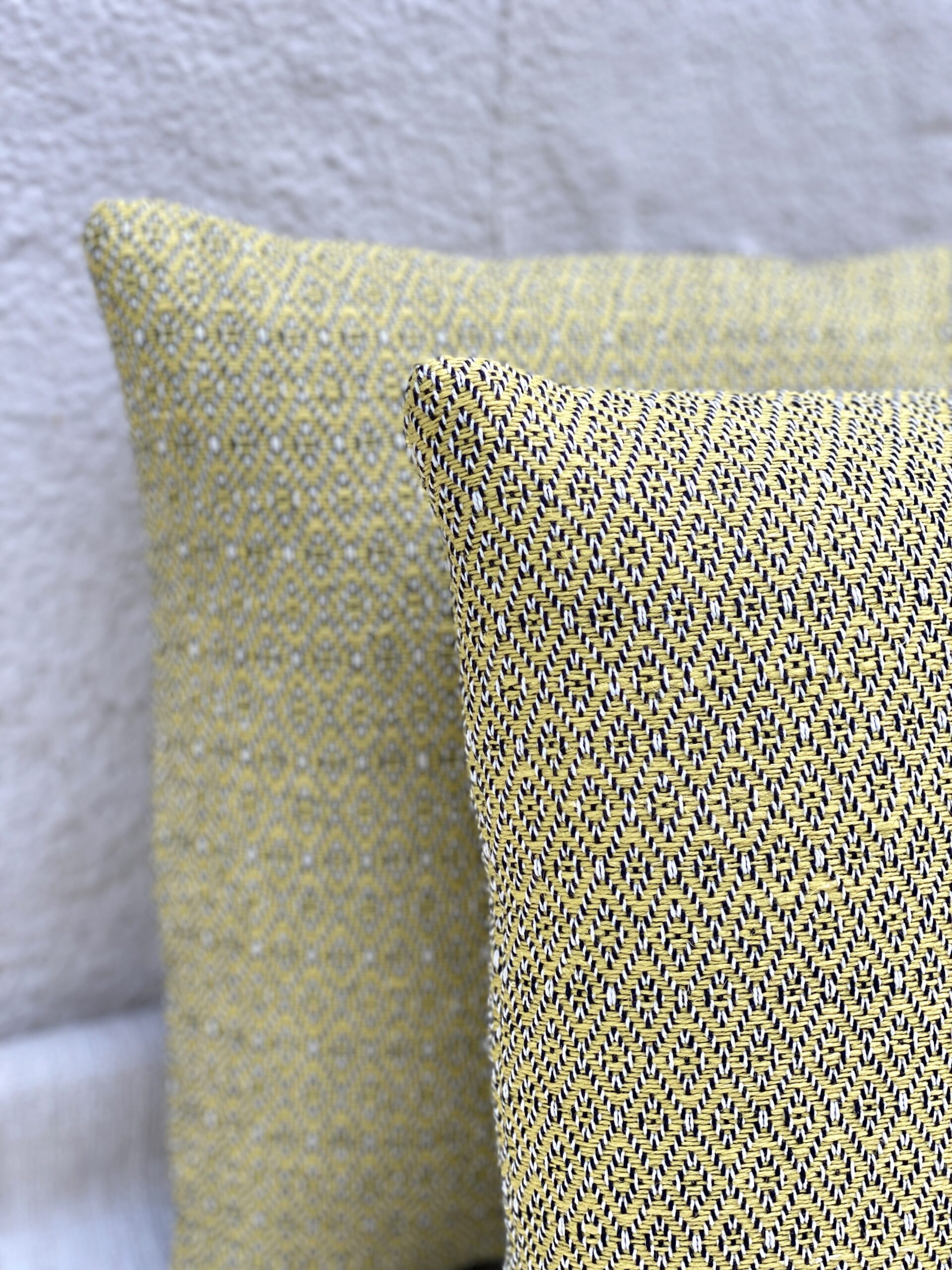 Paris Lapres-Midi Gobelins Pillows
