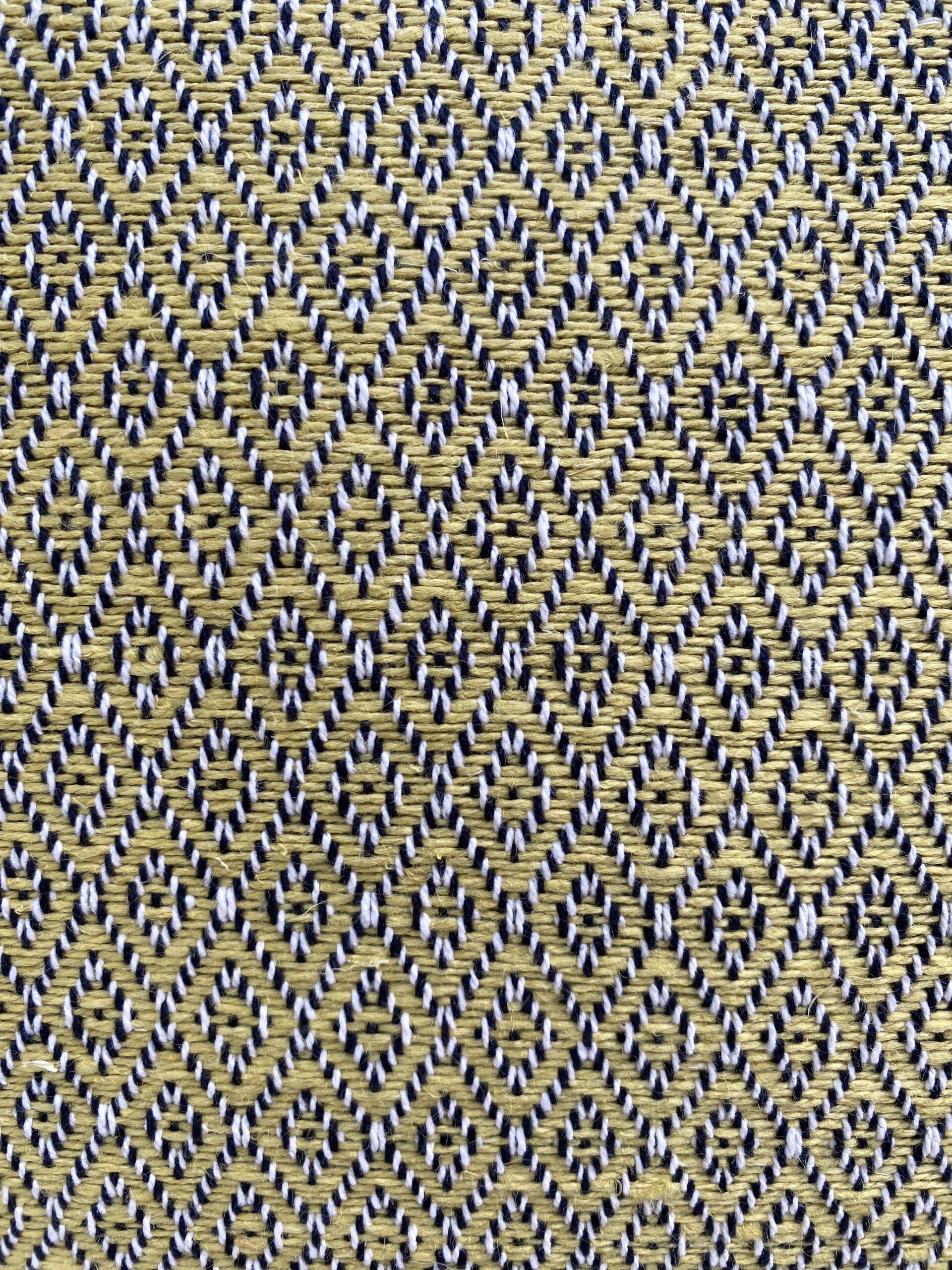 Paris Lapres-Midi Gobelins Pillows