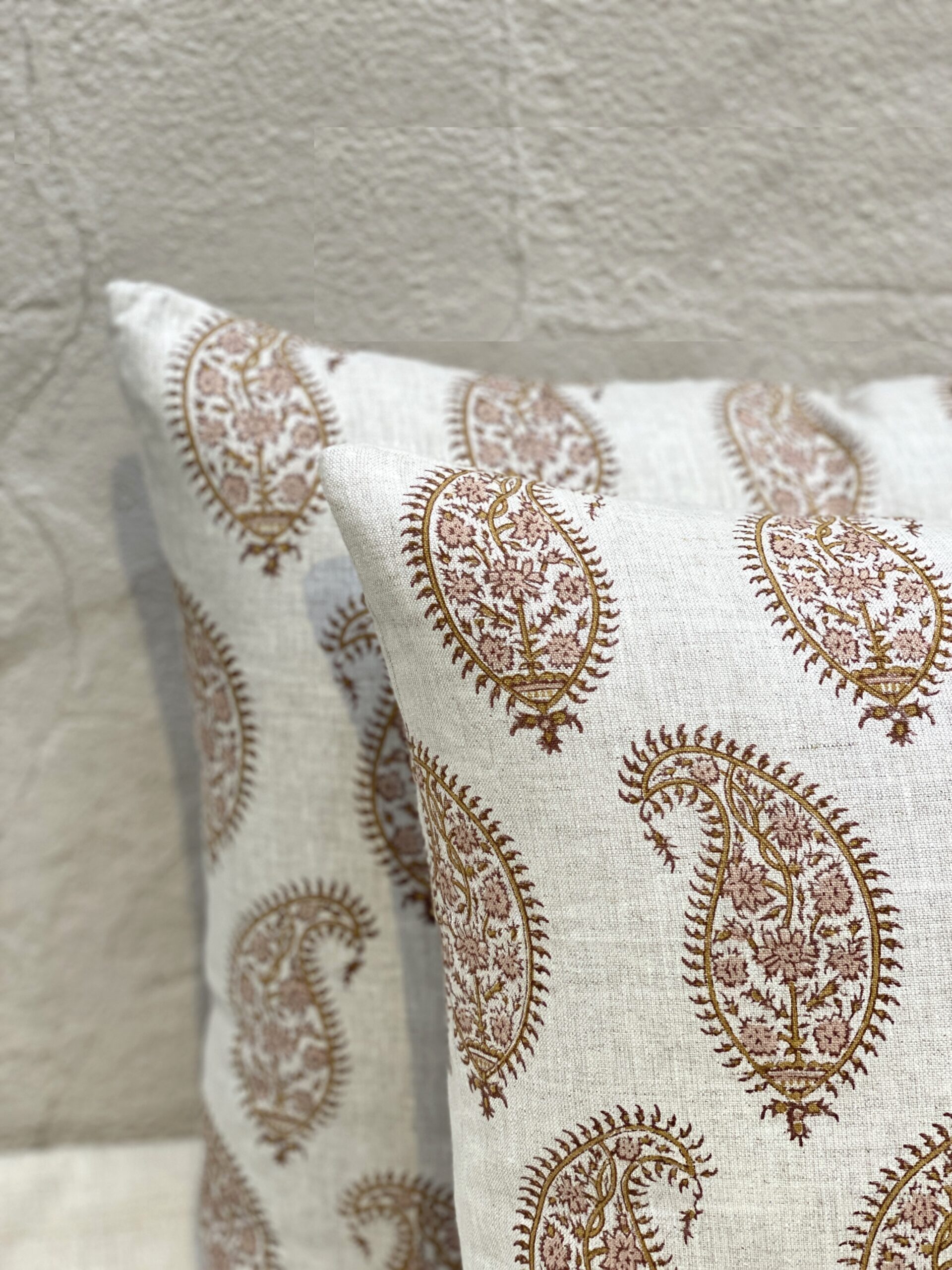 Walter G Paisley Pillows