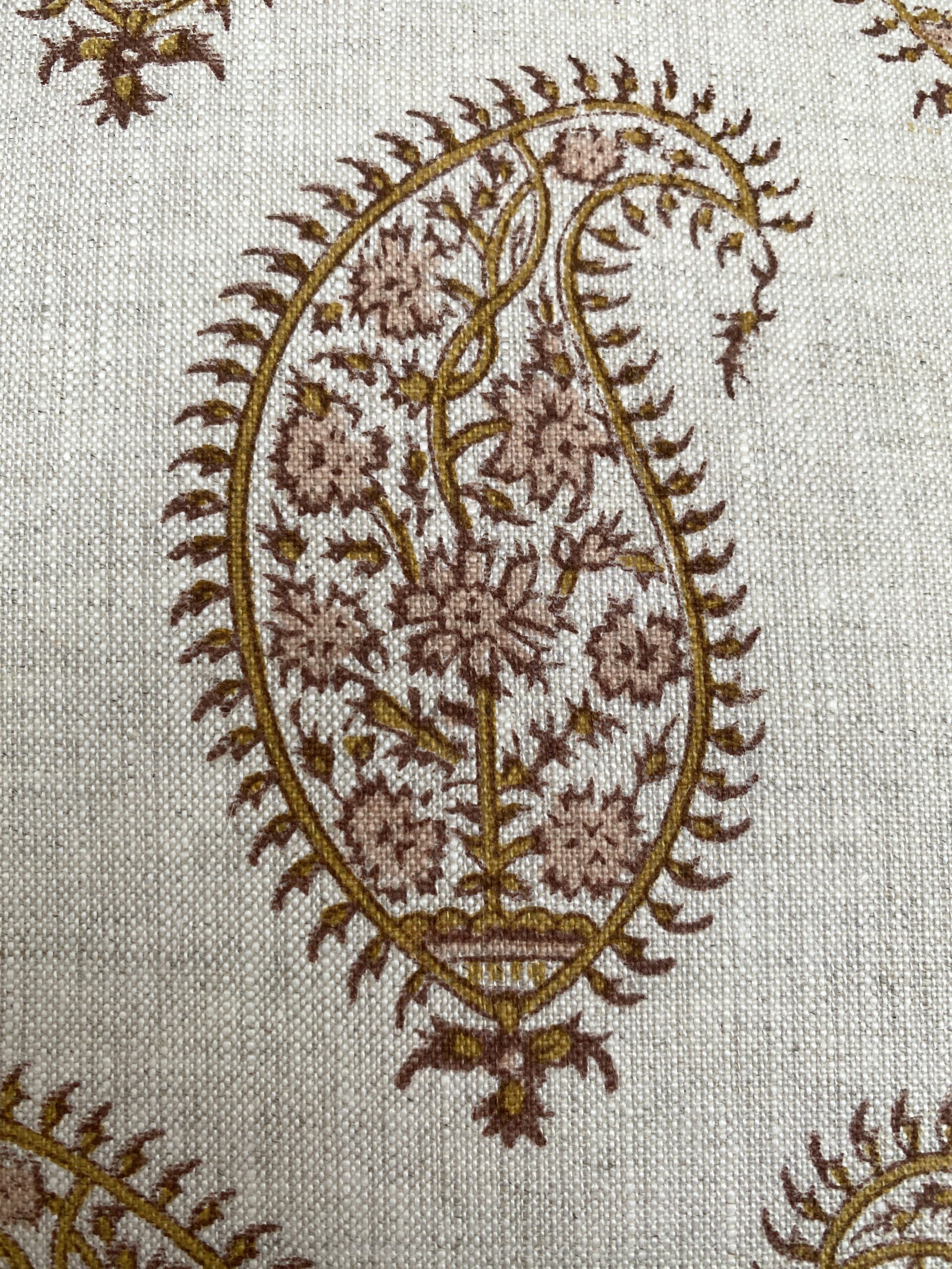 Walter G Paisley Pillows