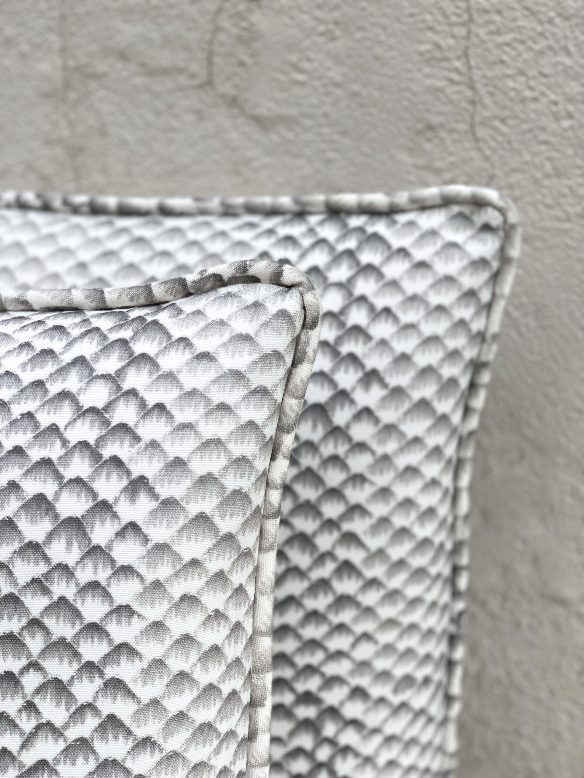 Ferran Arapaima Pillows