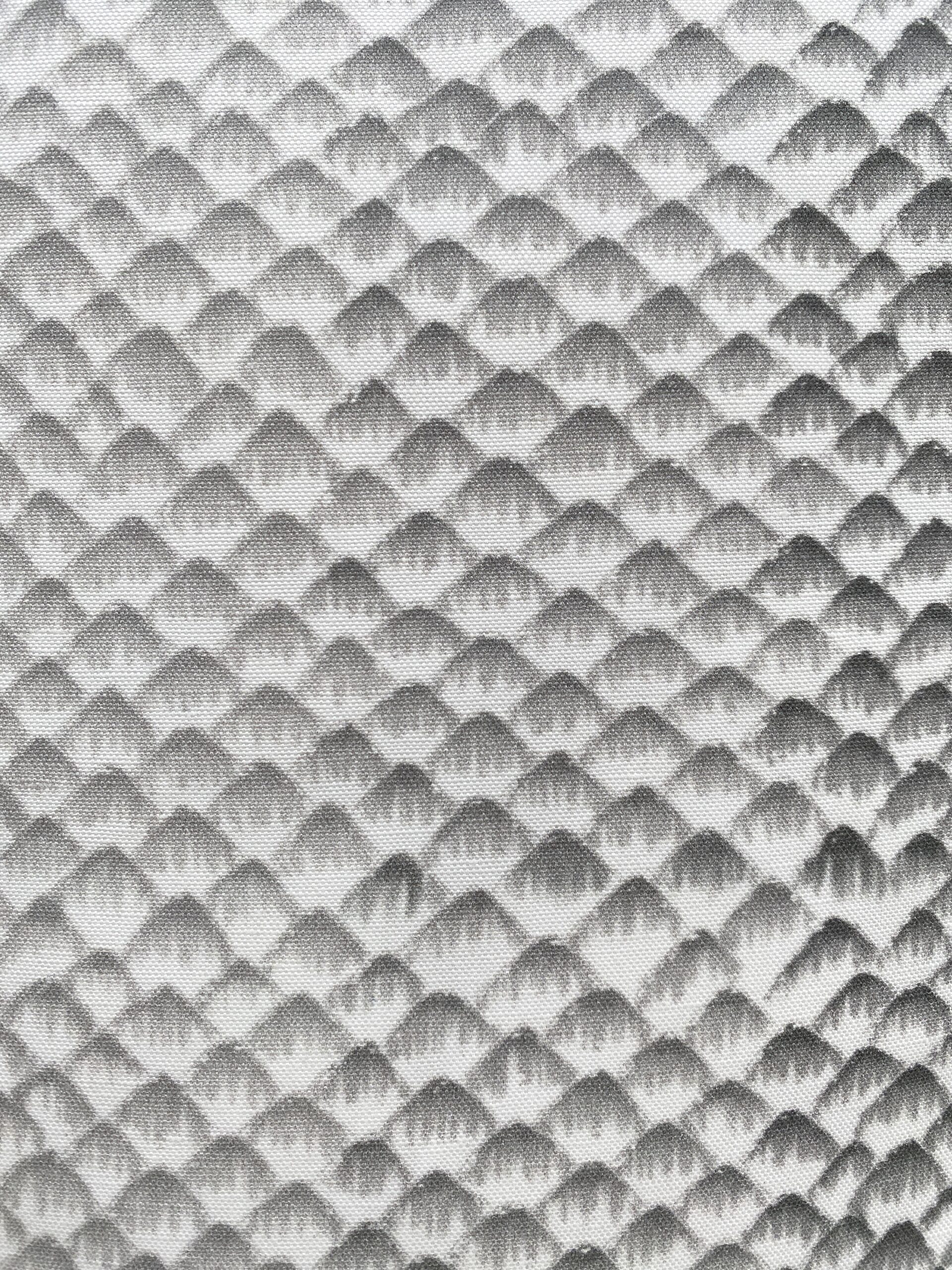 Ferran Arapaima Pillows