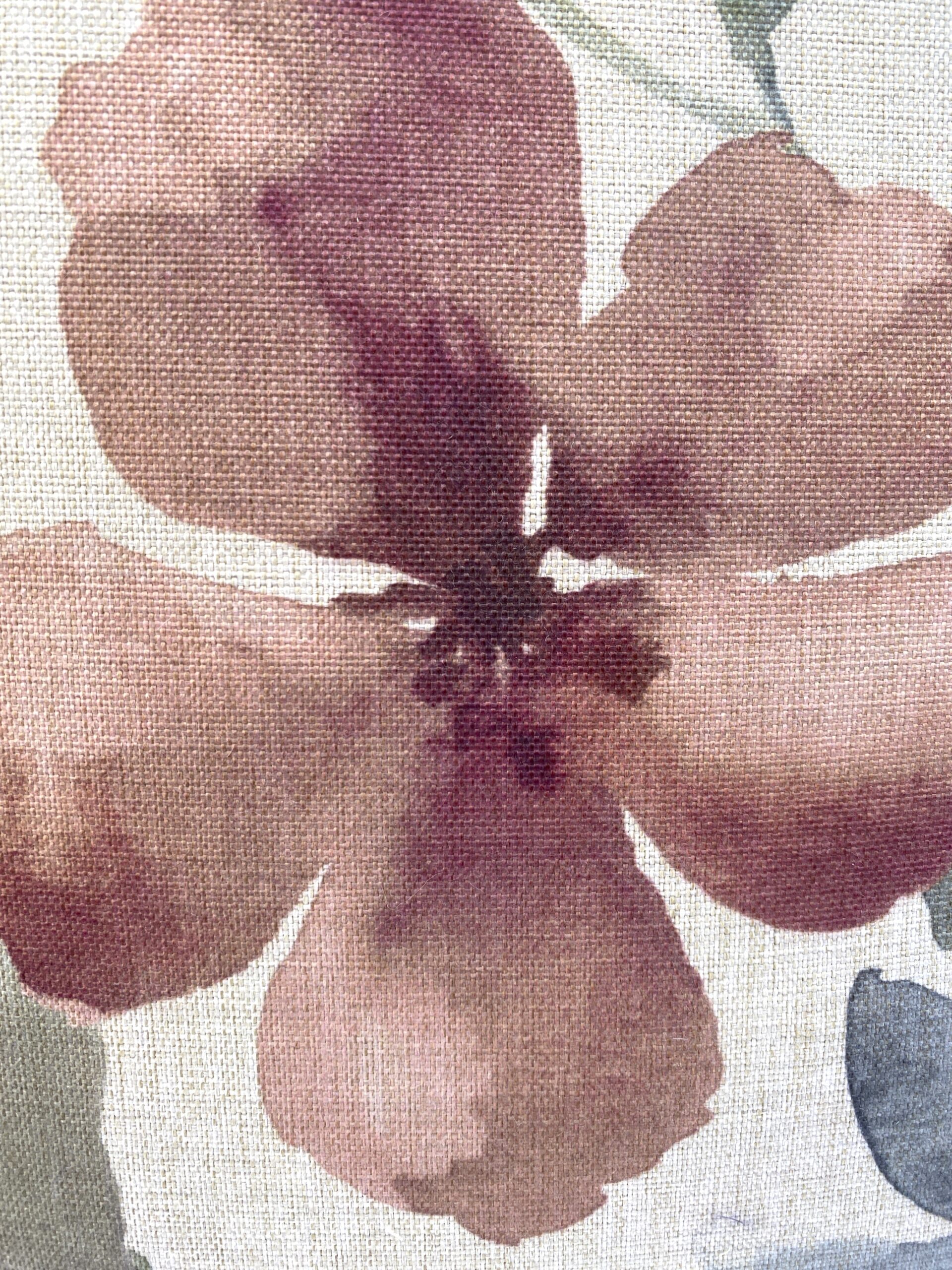 Maxwell Wilfred Pillows