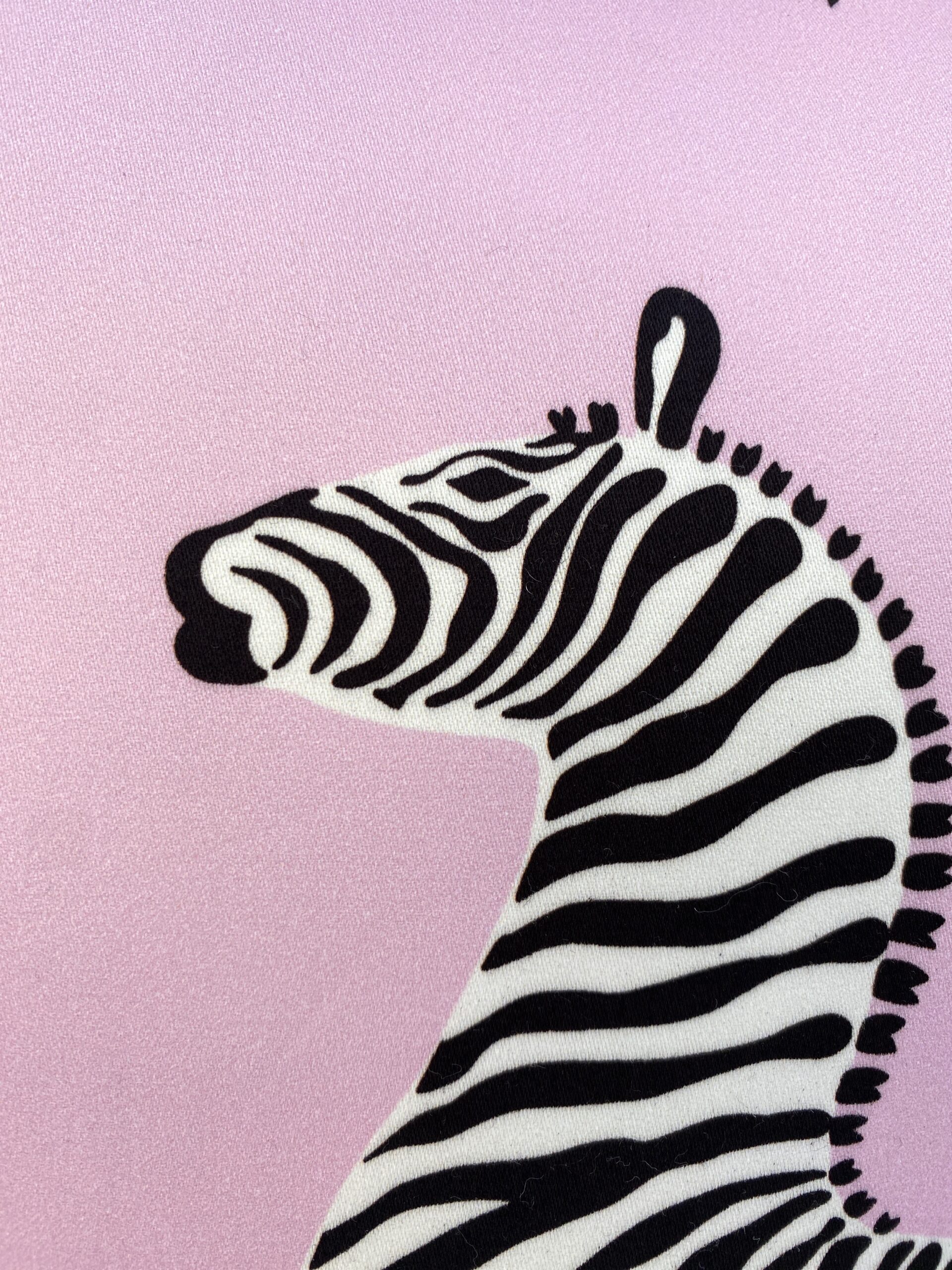 Scalamandre Zebras Petite Pillows