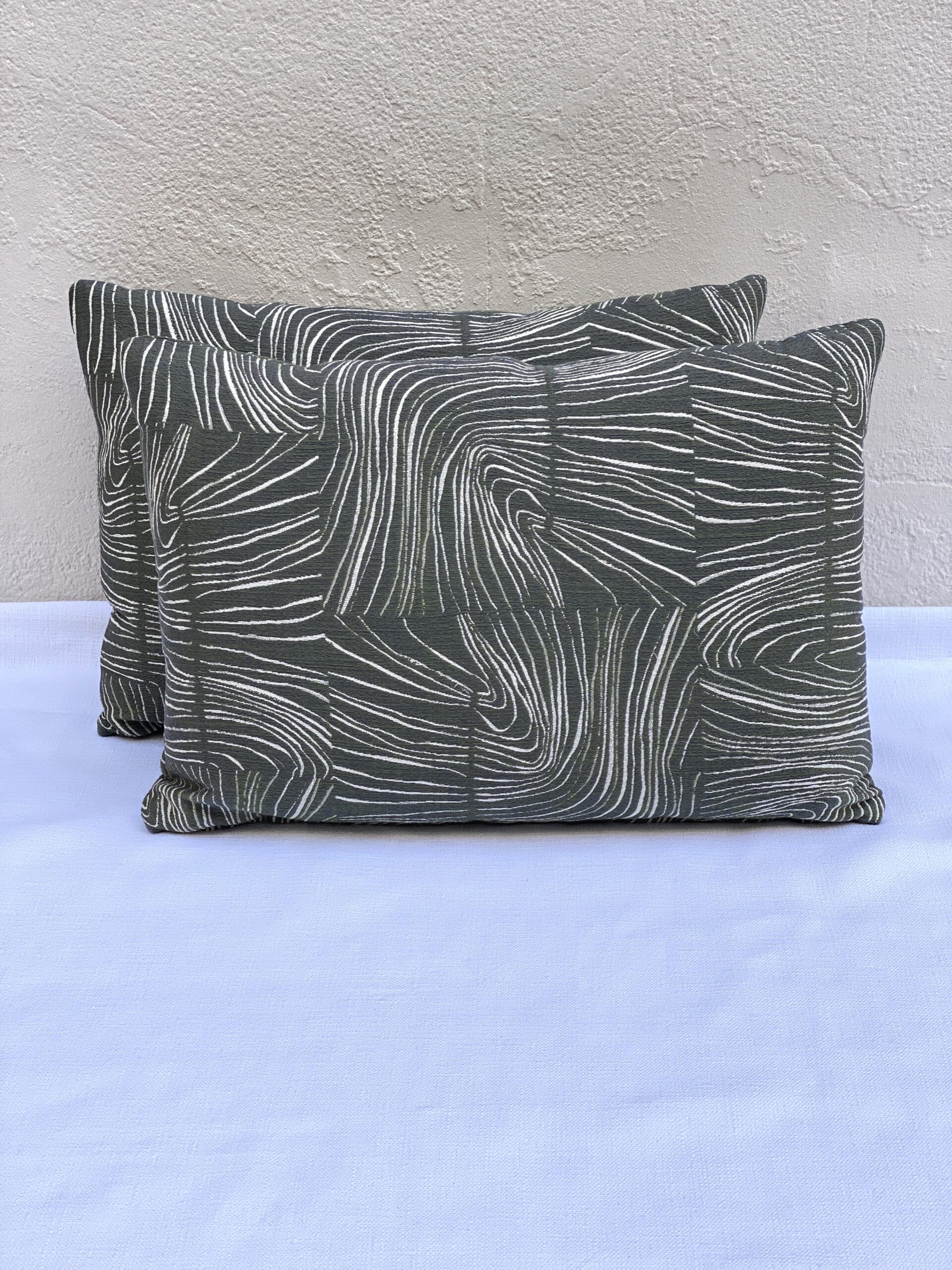 Kelly Ventura Trail Pillows