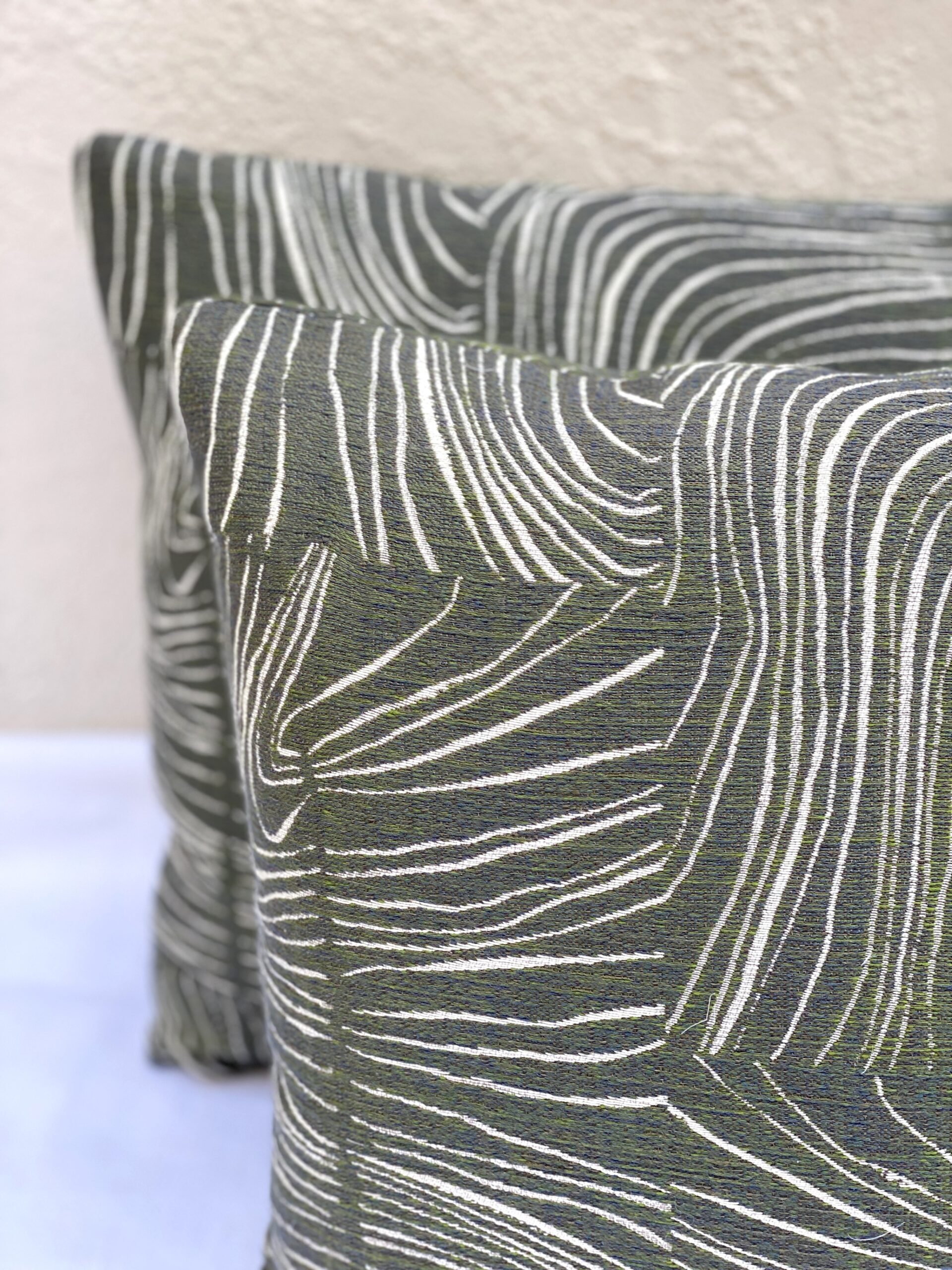 Kelly Ventura Trail Pillows