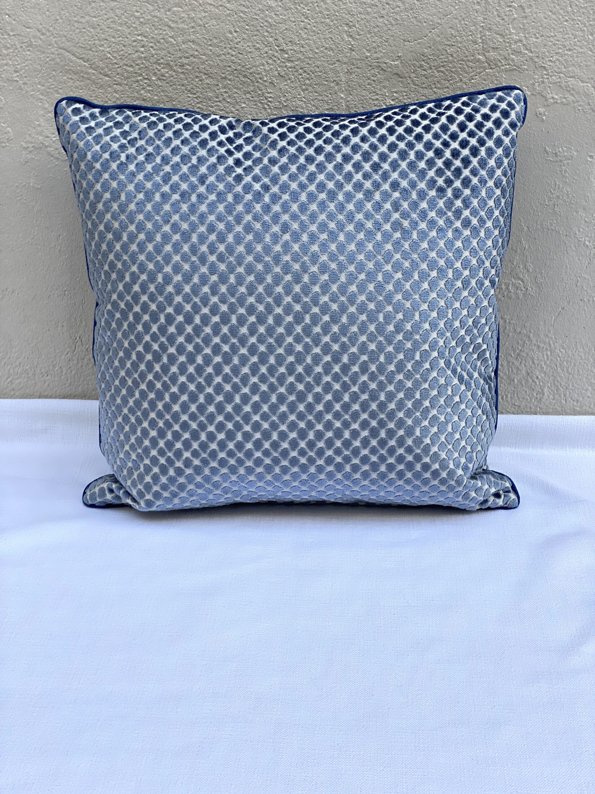 Scalamandre Etosha Velvet Pillows