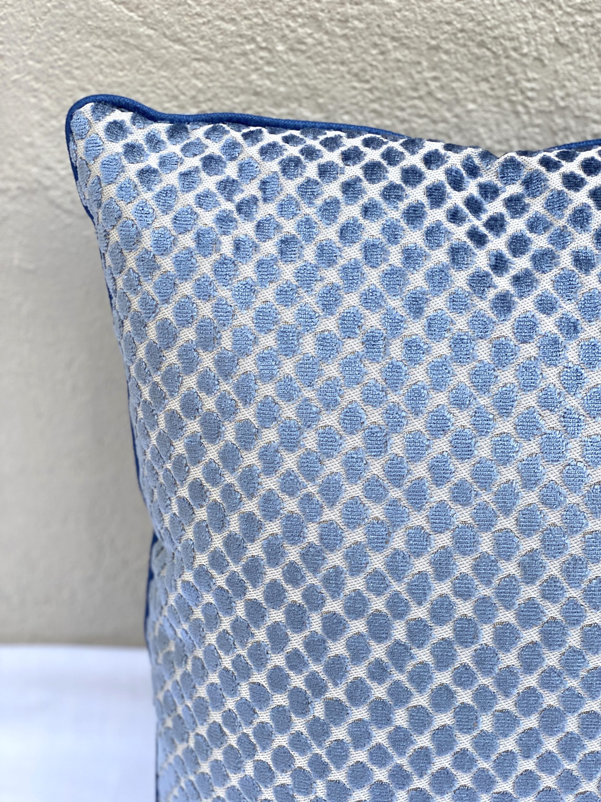 Scalamandre Etosha Velvet Pillows