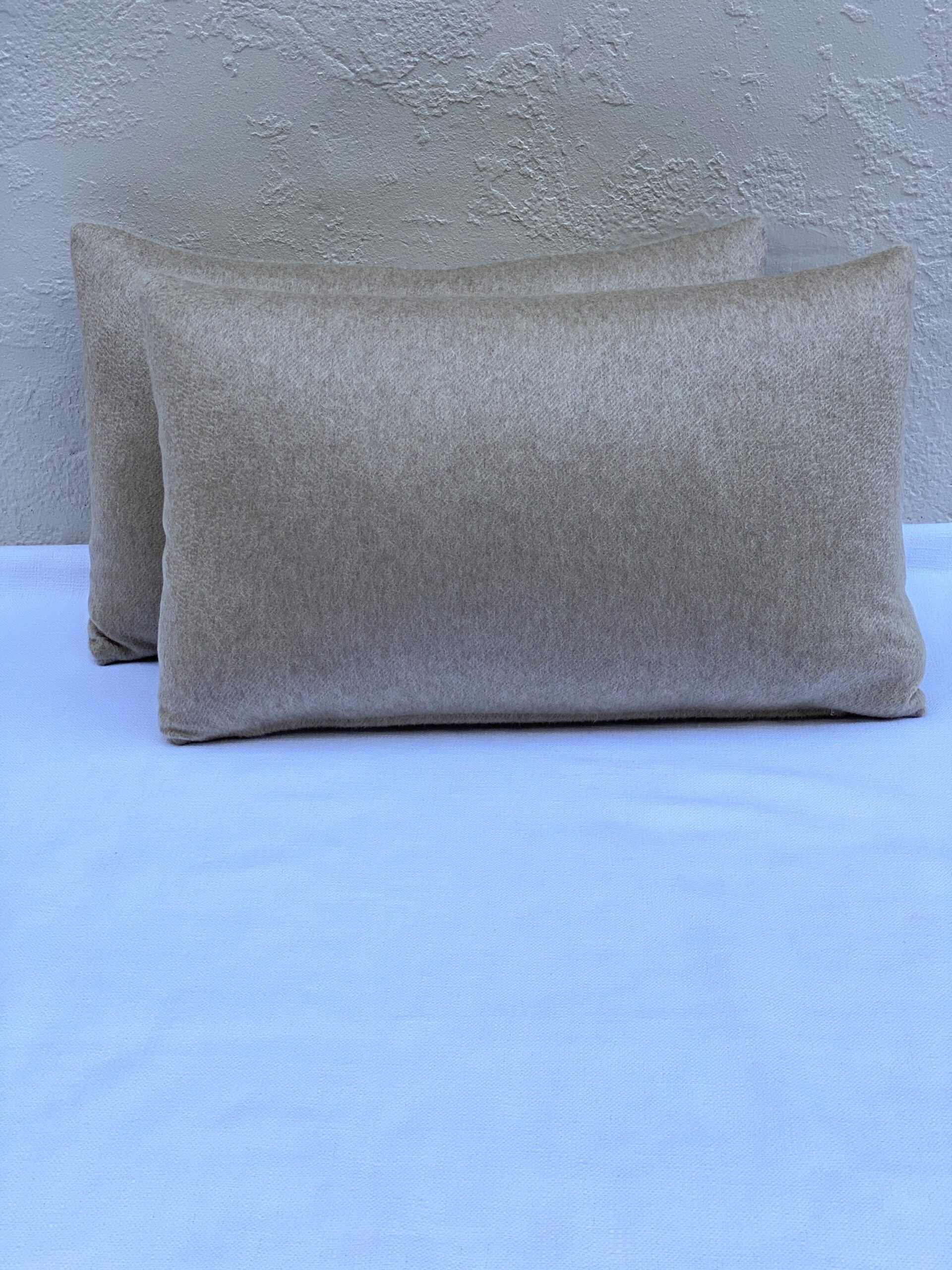 Elizabeth Bolognino Solid Soft Pillows