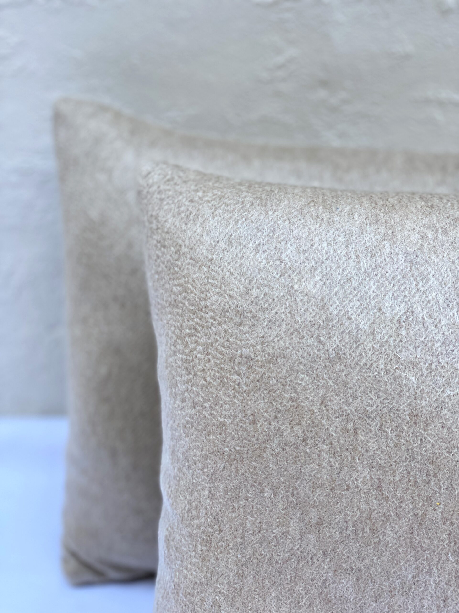 Elizabeth Bolognino Solid Soft Pillows