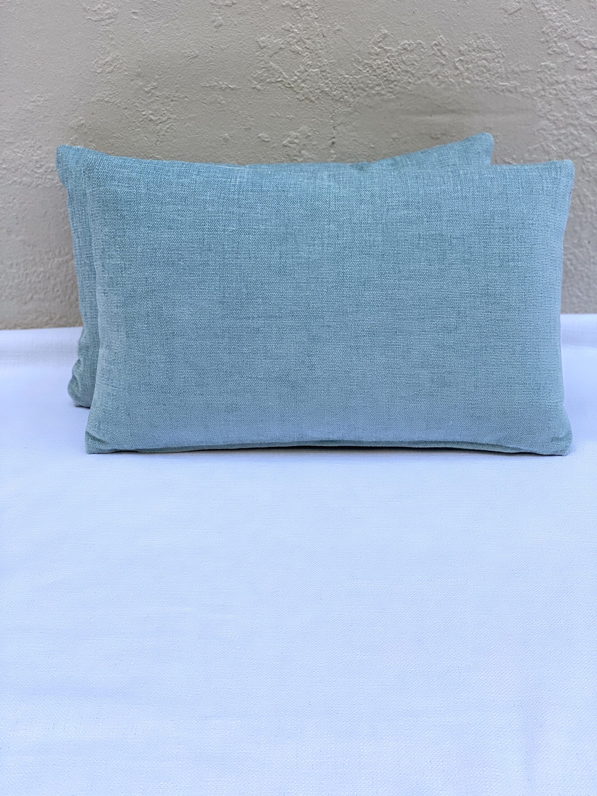 Elizabeth Bolognino Solid Pillow