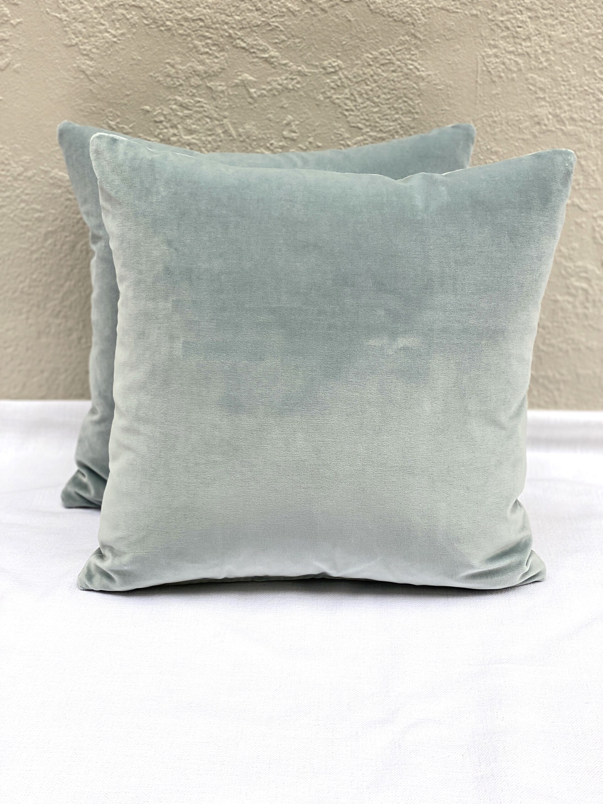 Elizabeth Bolognino Solid Velvet Pillows