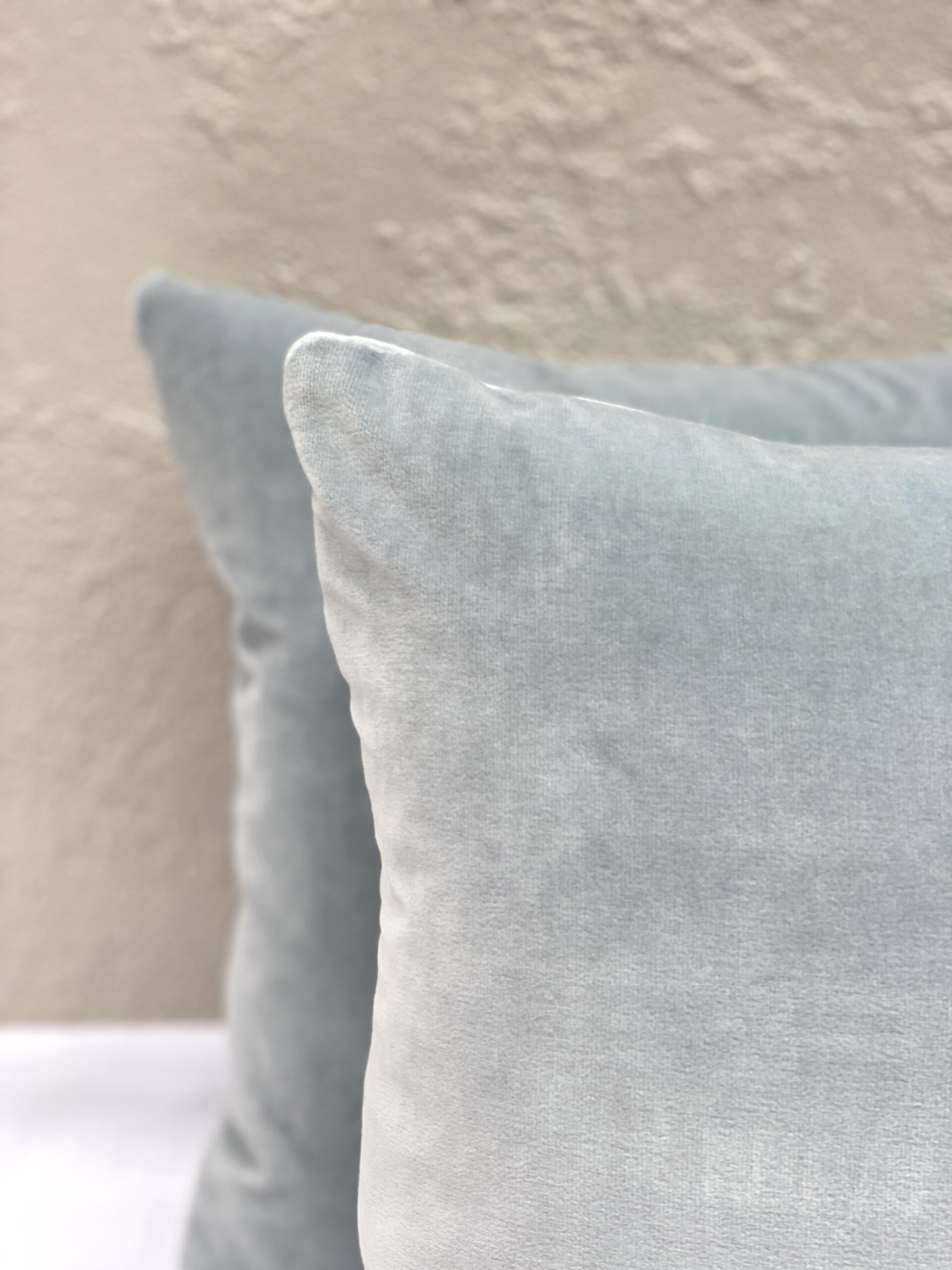 Elizabeth Bolognino Solid Velvet Pillows