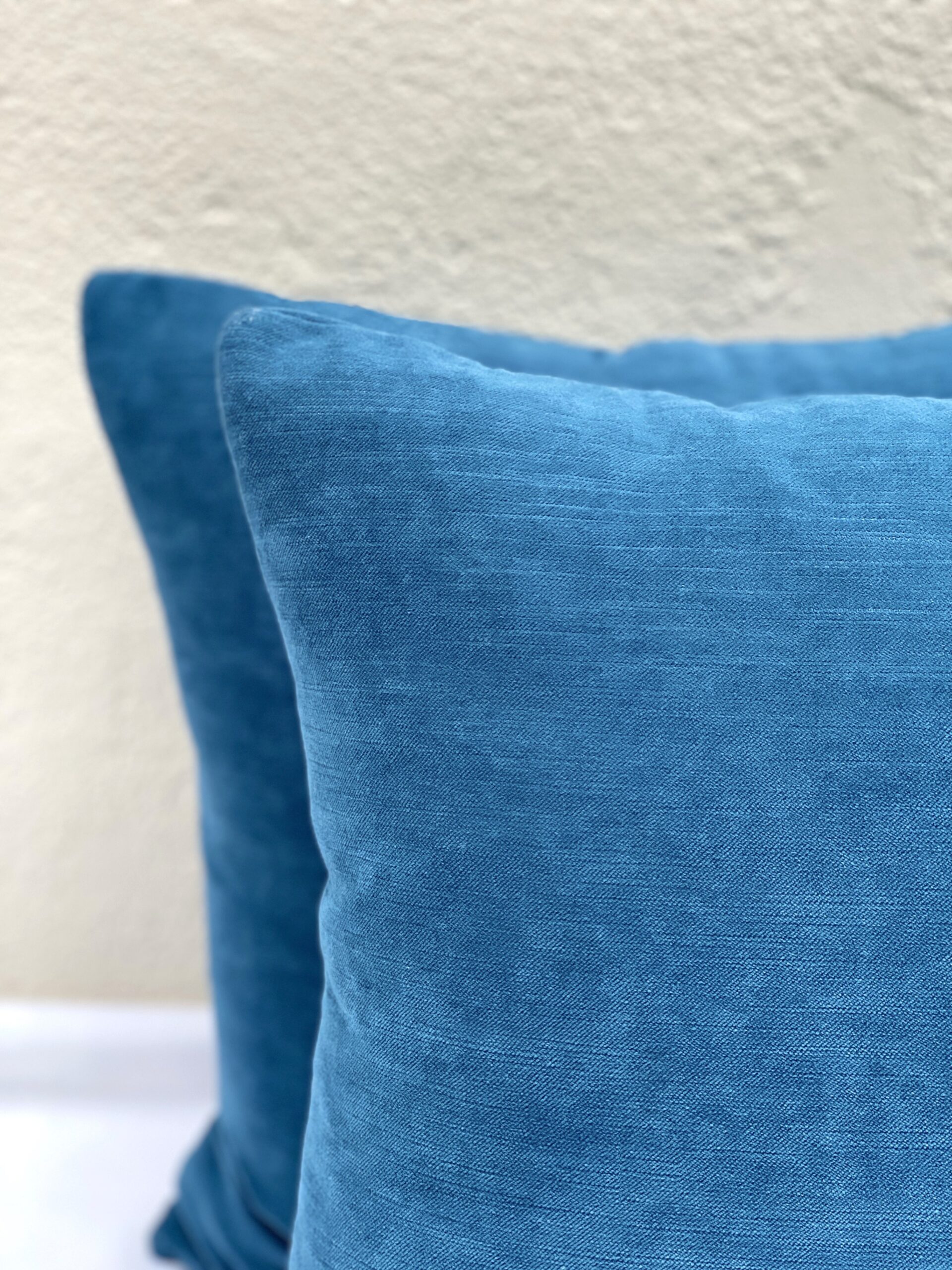 Elizabeth Bolognino Solid Velvet Pillows