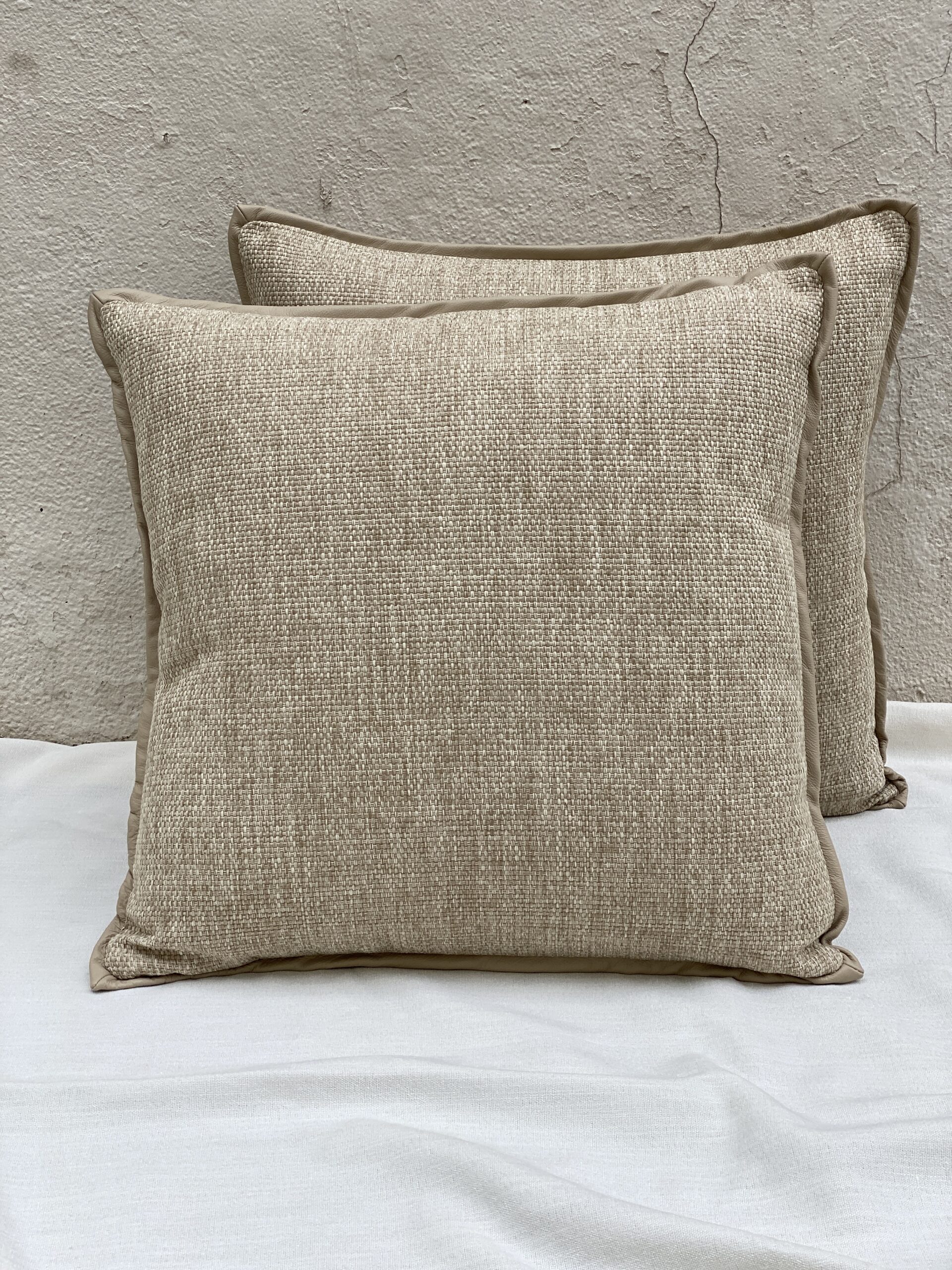 Clarke & Clarke Pillows