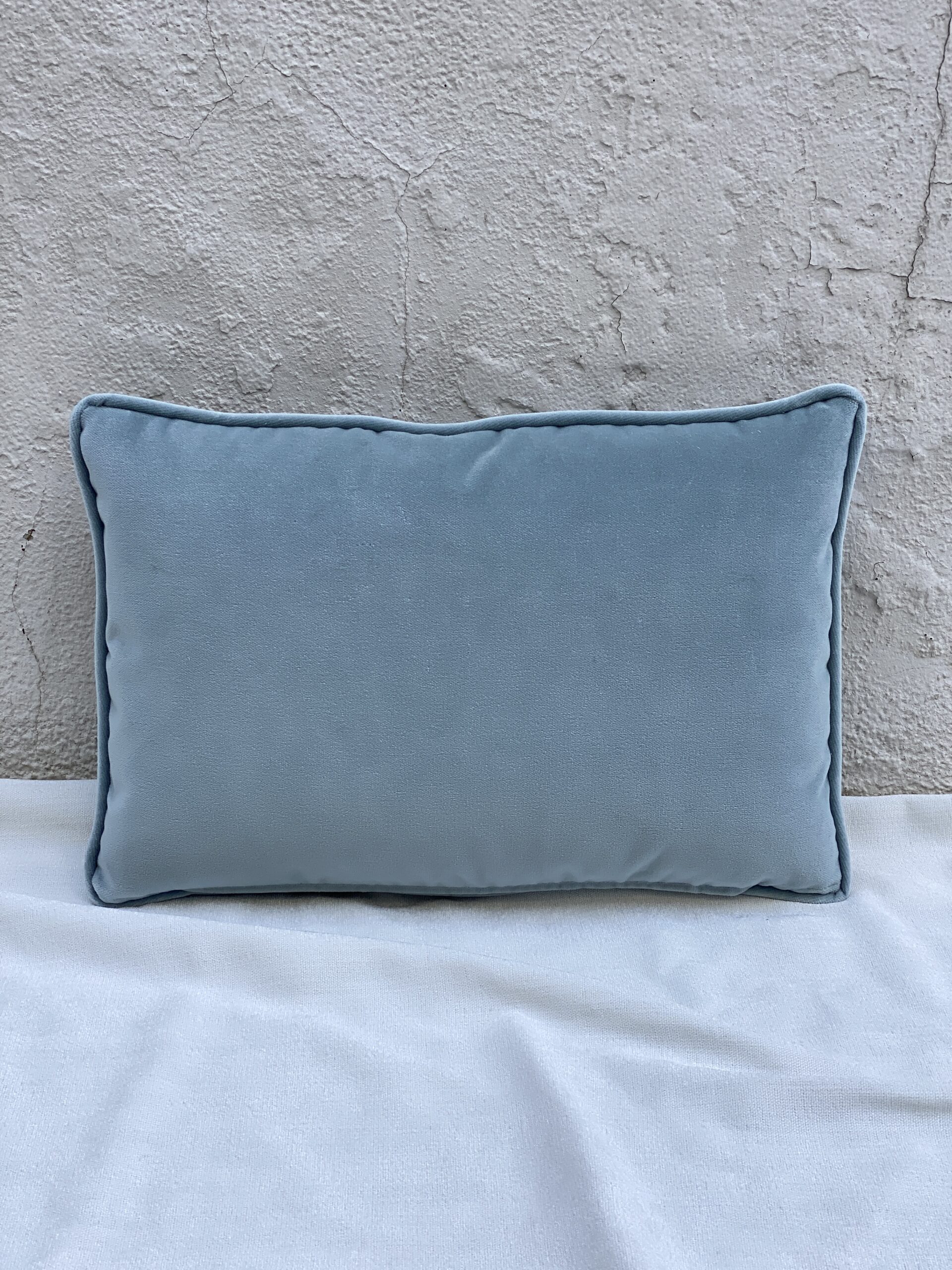 Schumacher Velvet Pillow