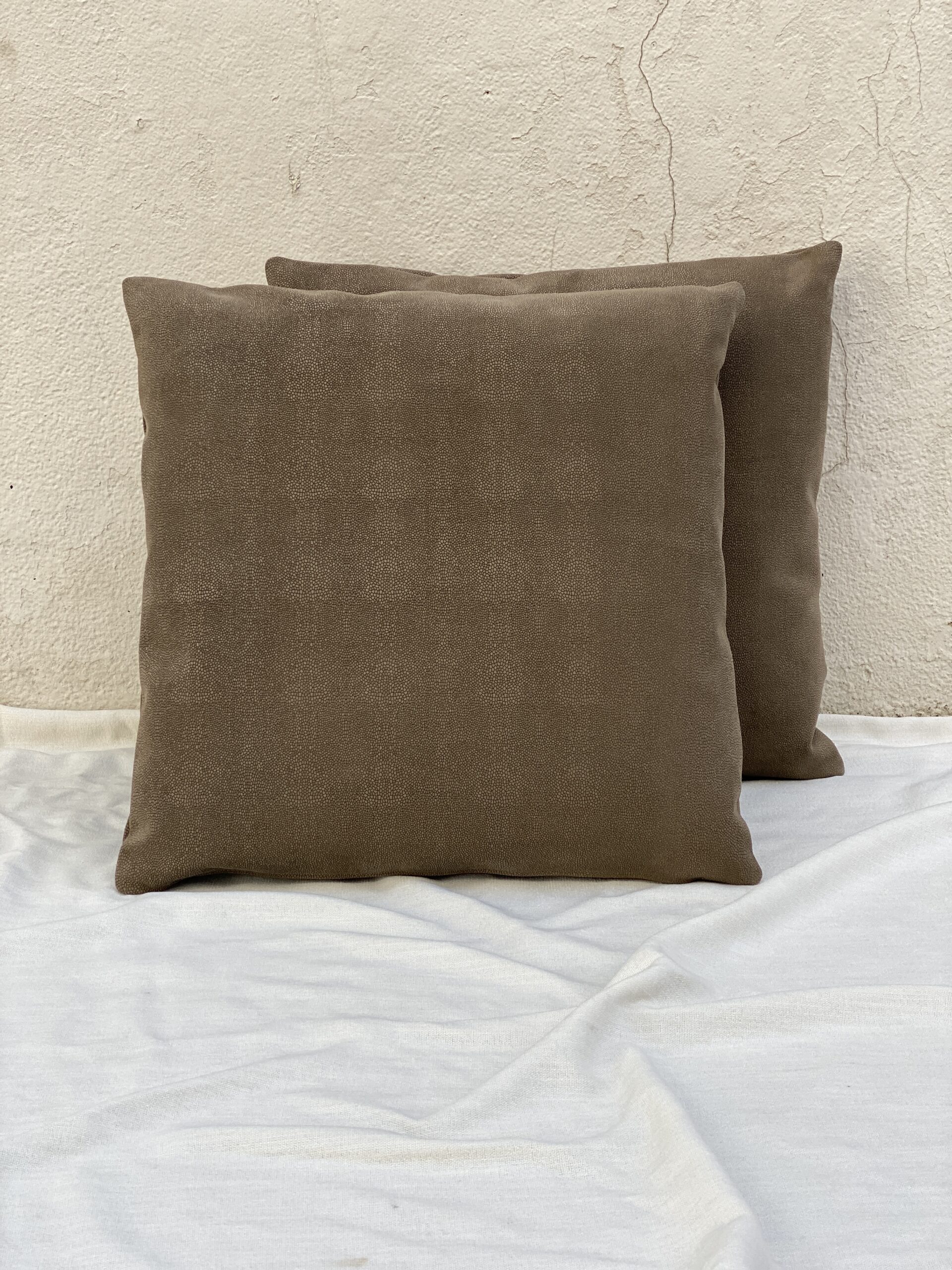 Jerry Pair Leather Pillows