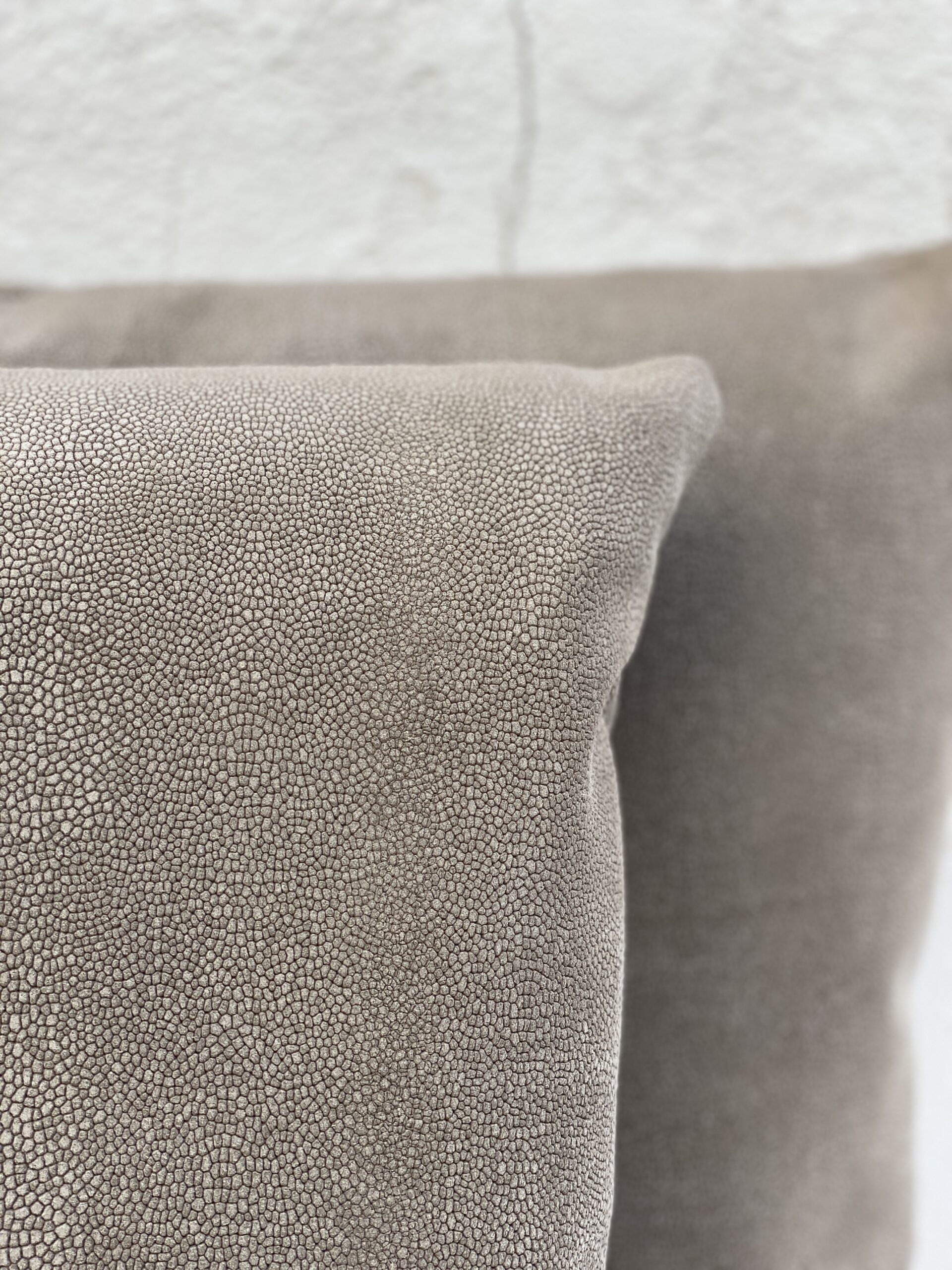 Jerry Pair Leather Pillows