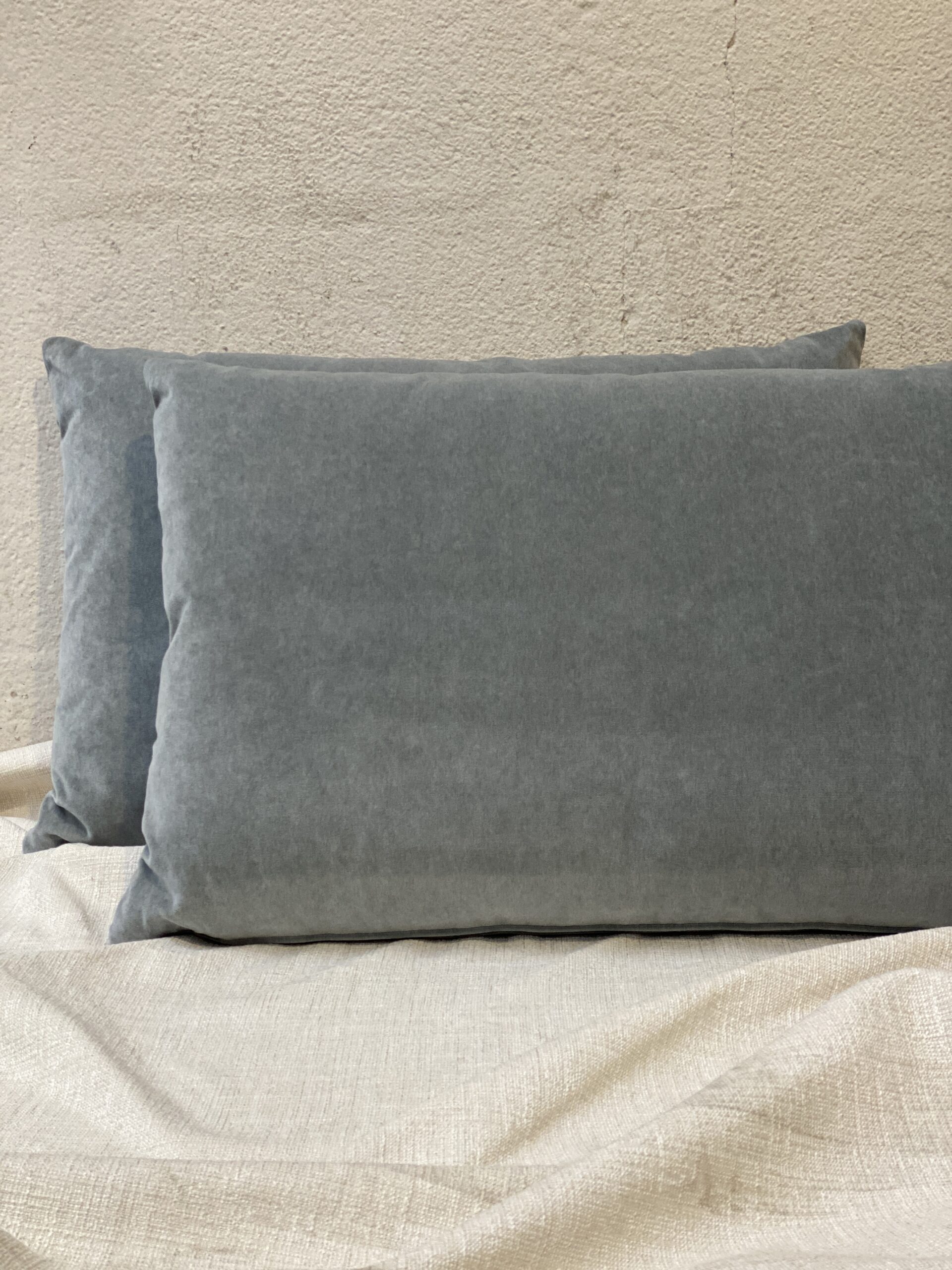 Velvet Holly Hunt Pillows