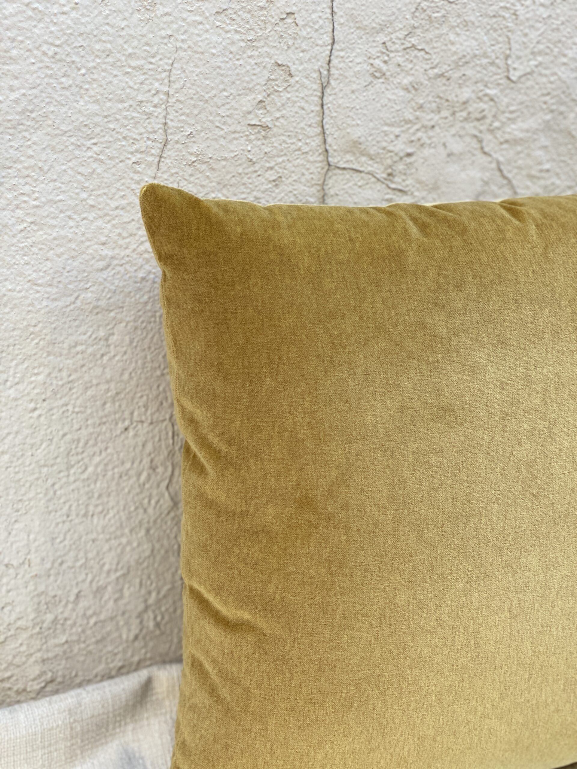 Dedar Velvet Pillows
