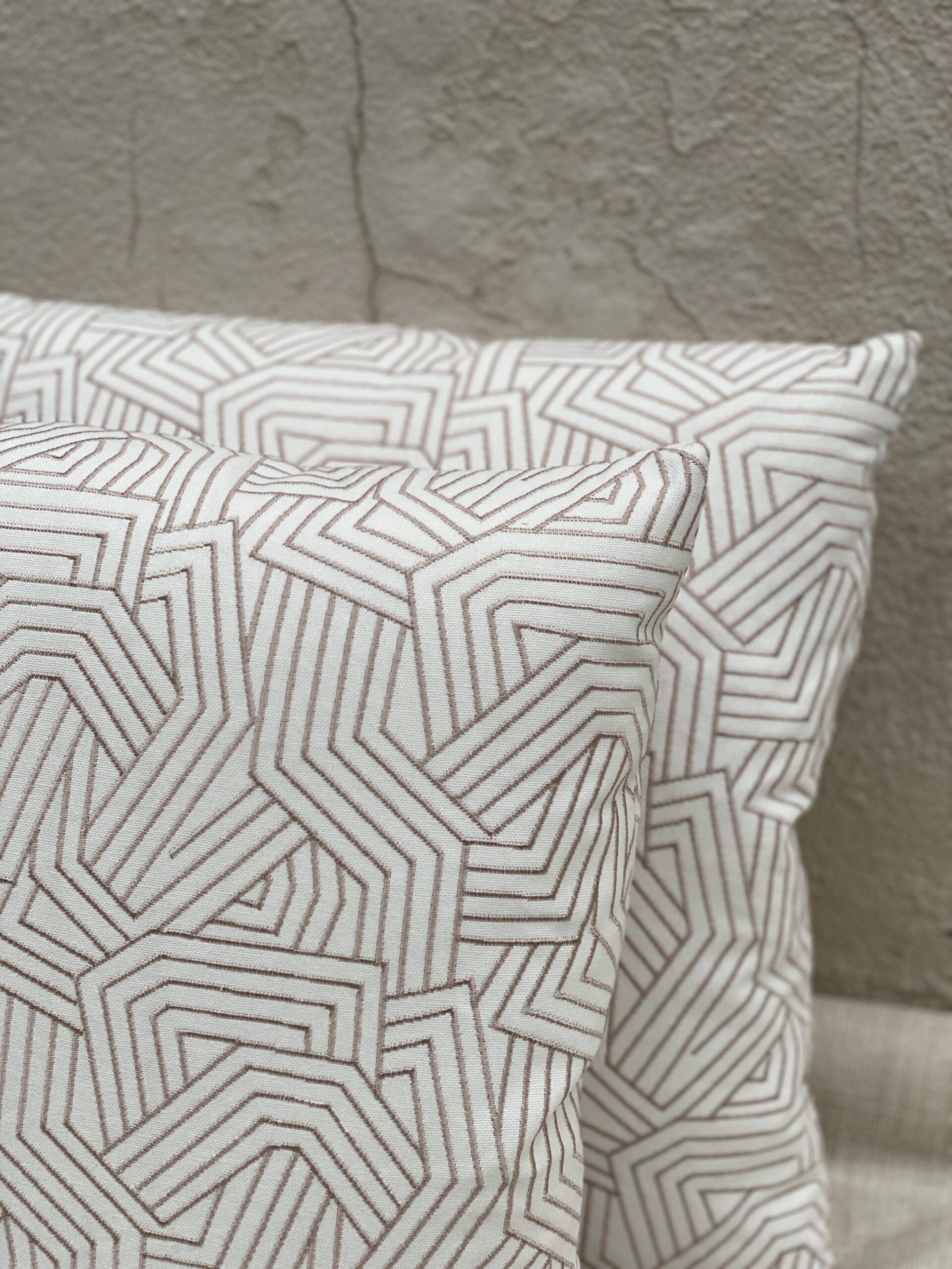 Trend Geometric Pillows