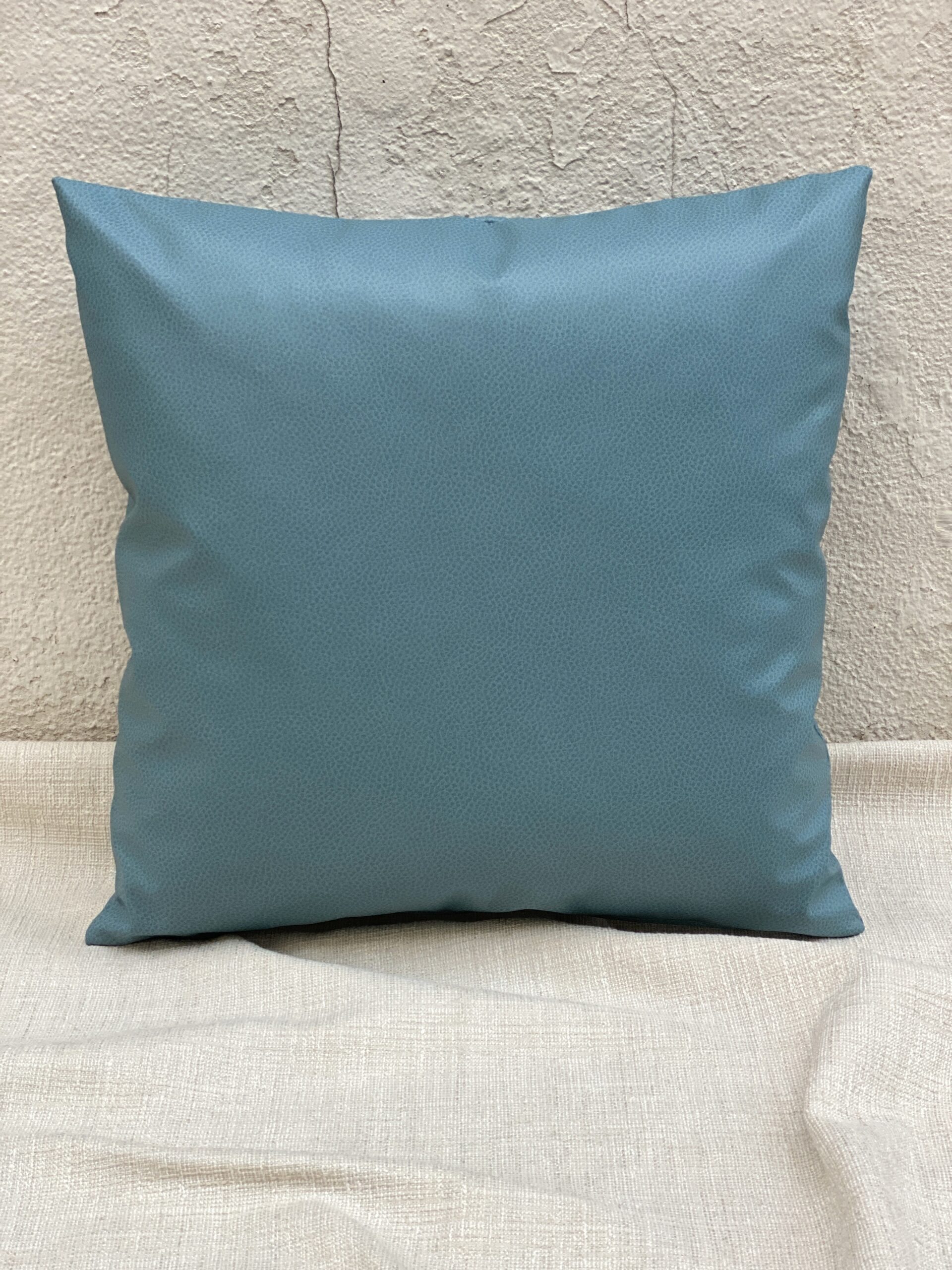 Maxwell Scene Pillows