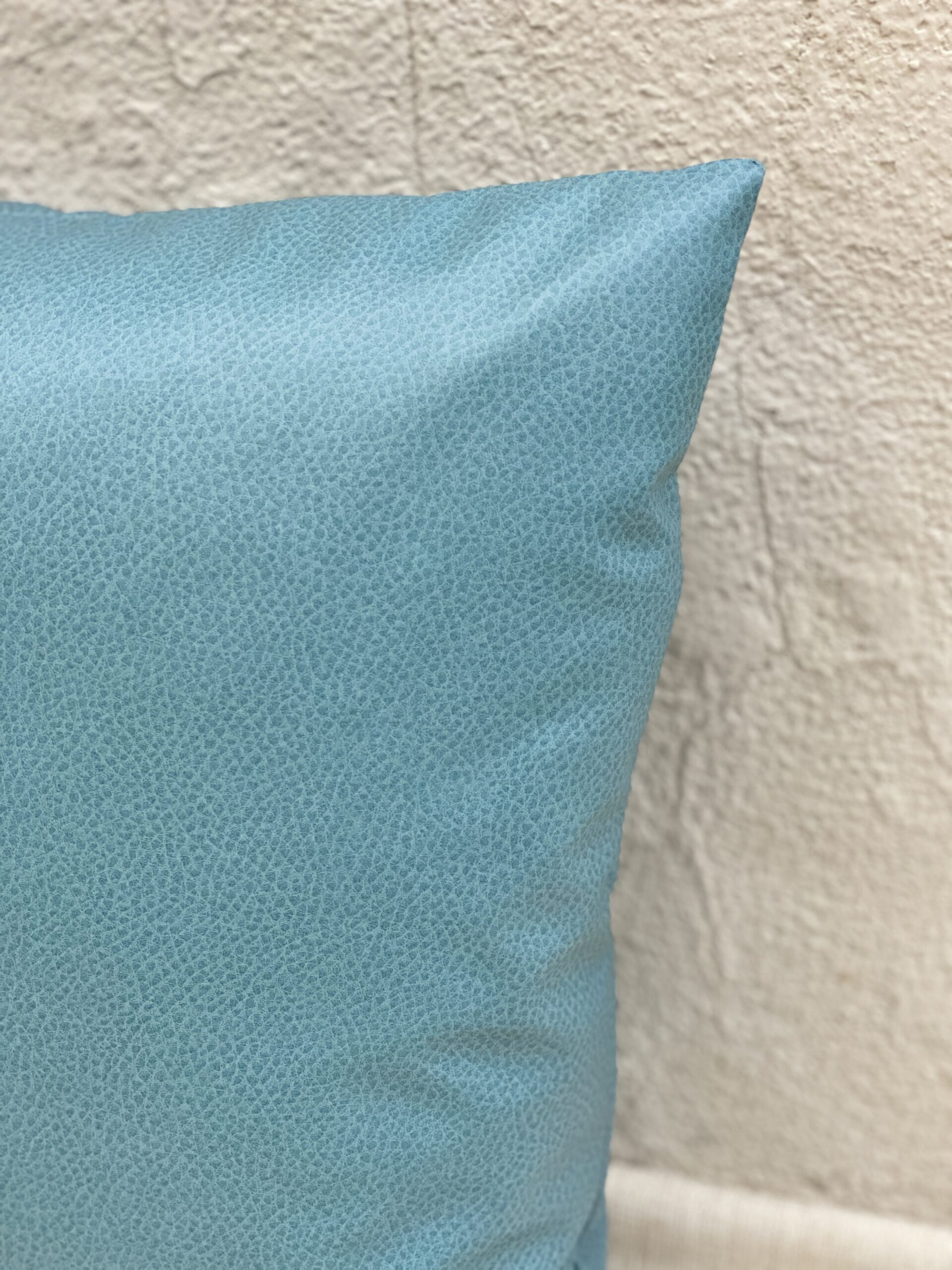 Maxwell Scene Pillows