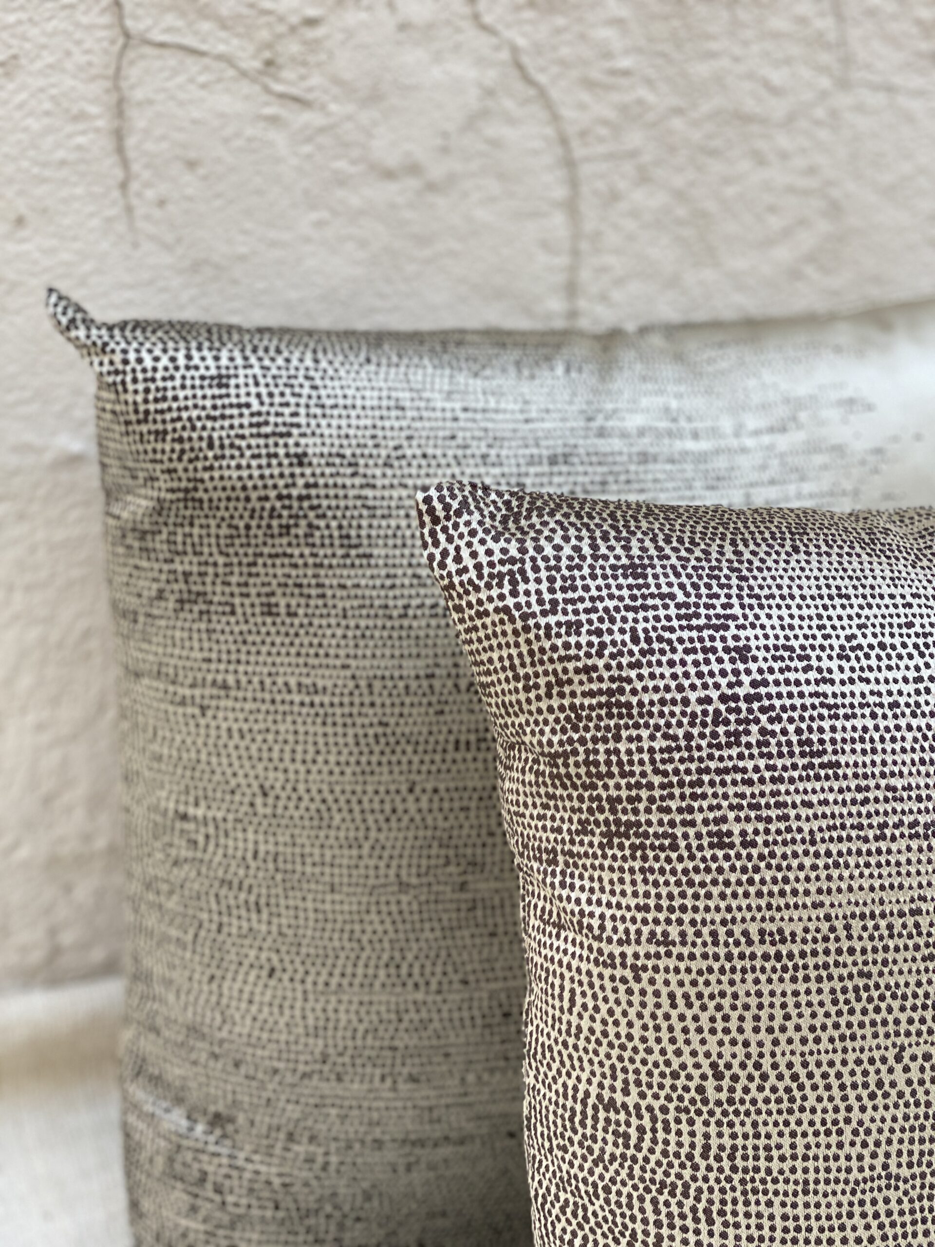 Scalamandre Aspirazione Pillows
