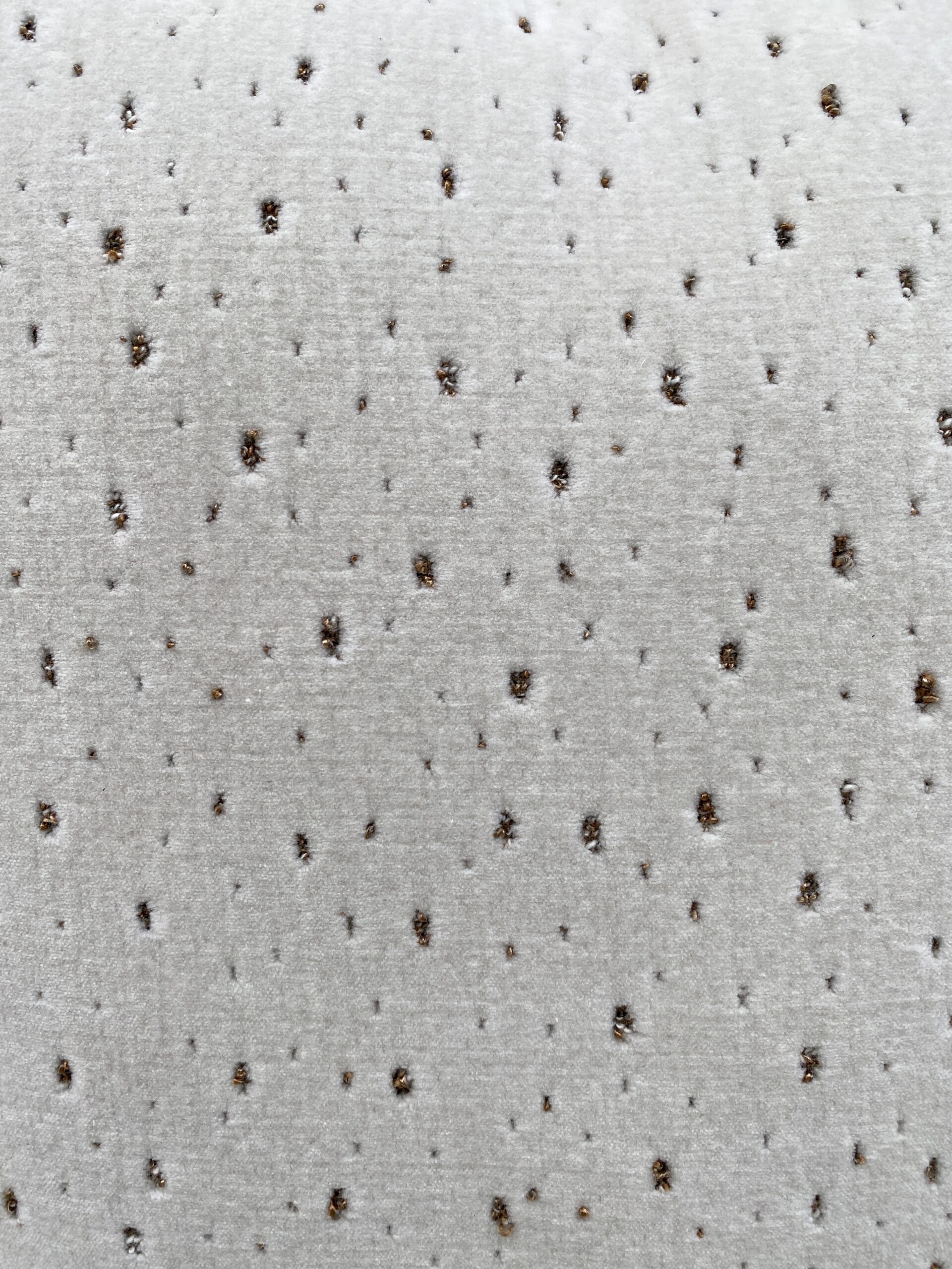 Zinc Tramotana Pillows