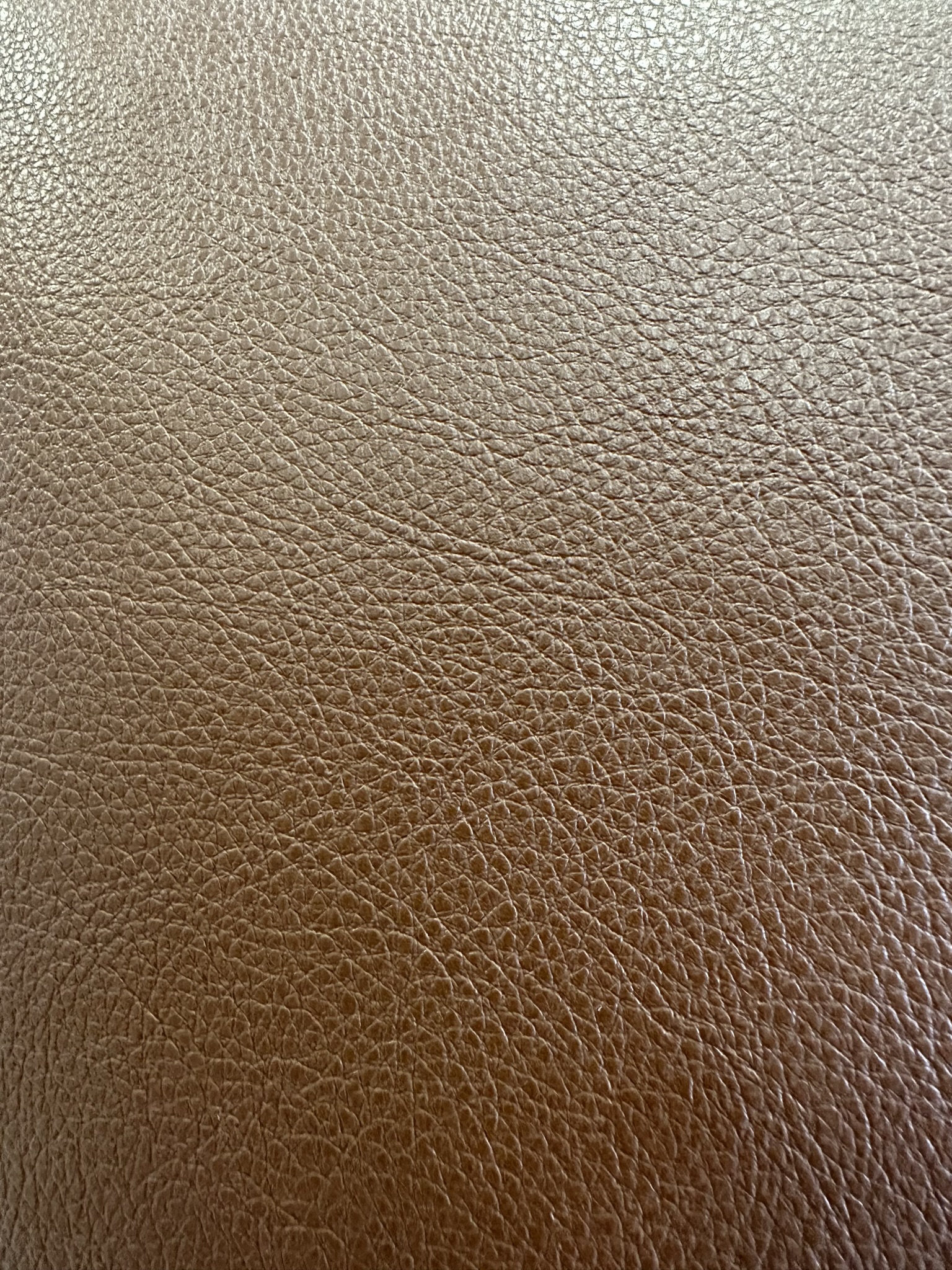 Maxwell Fabrics,Vesper Pillows