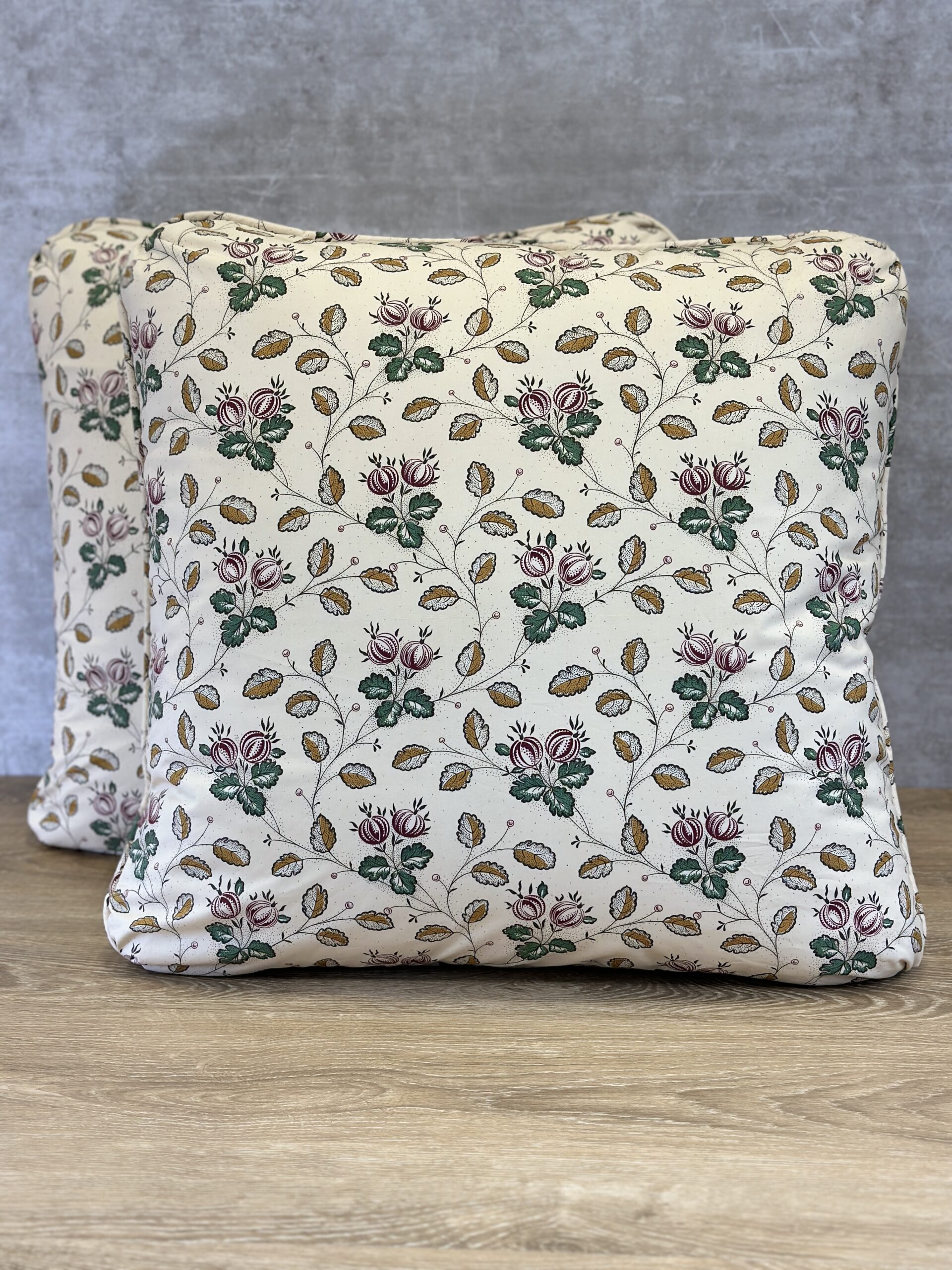 Decors Barbares Les Groseilles Pillows