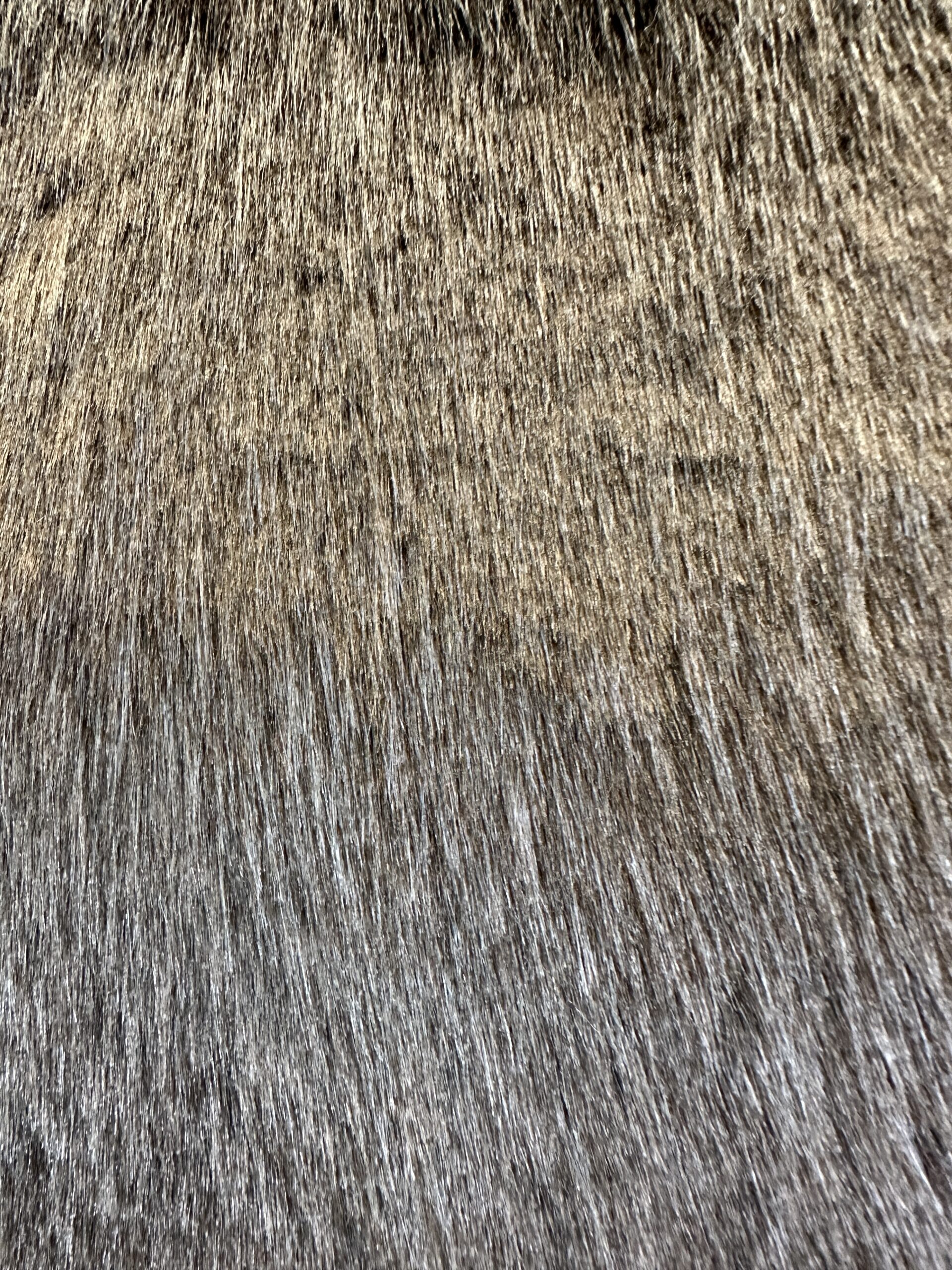 ZINC Sabre Pillows