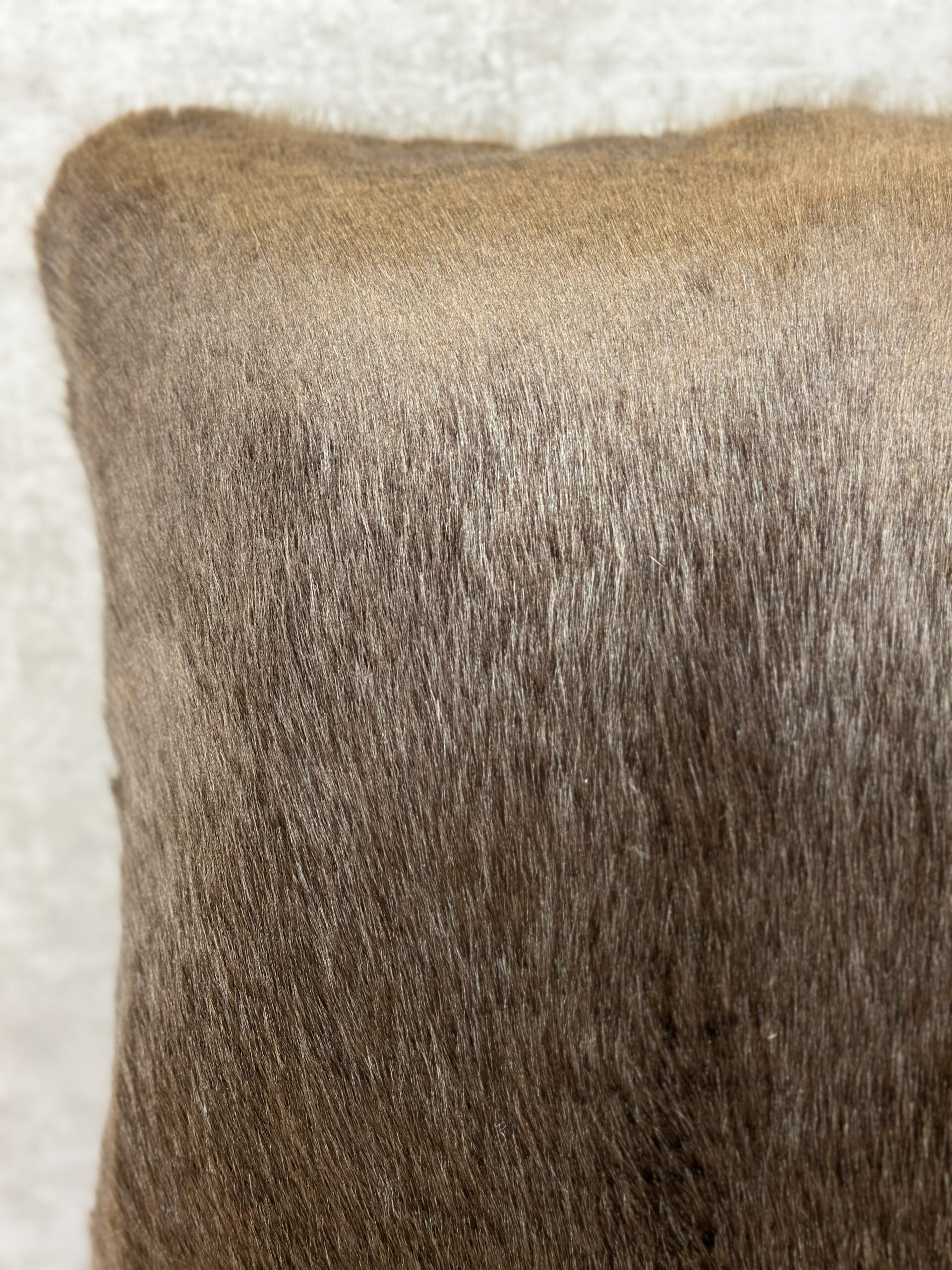 ZINC Sabre Pillows