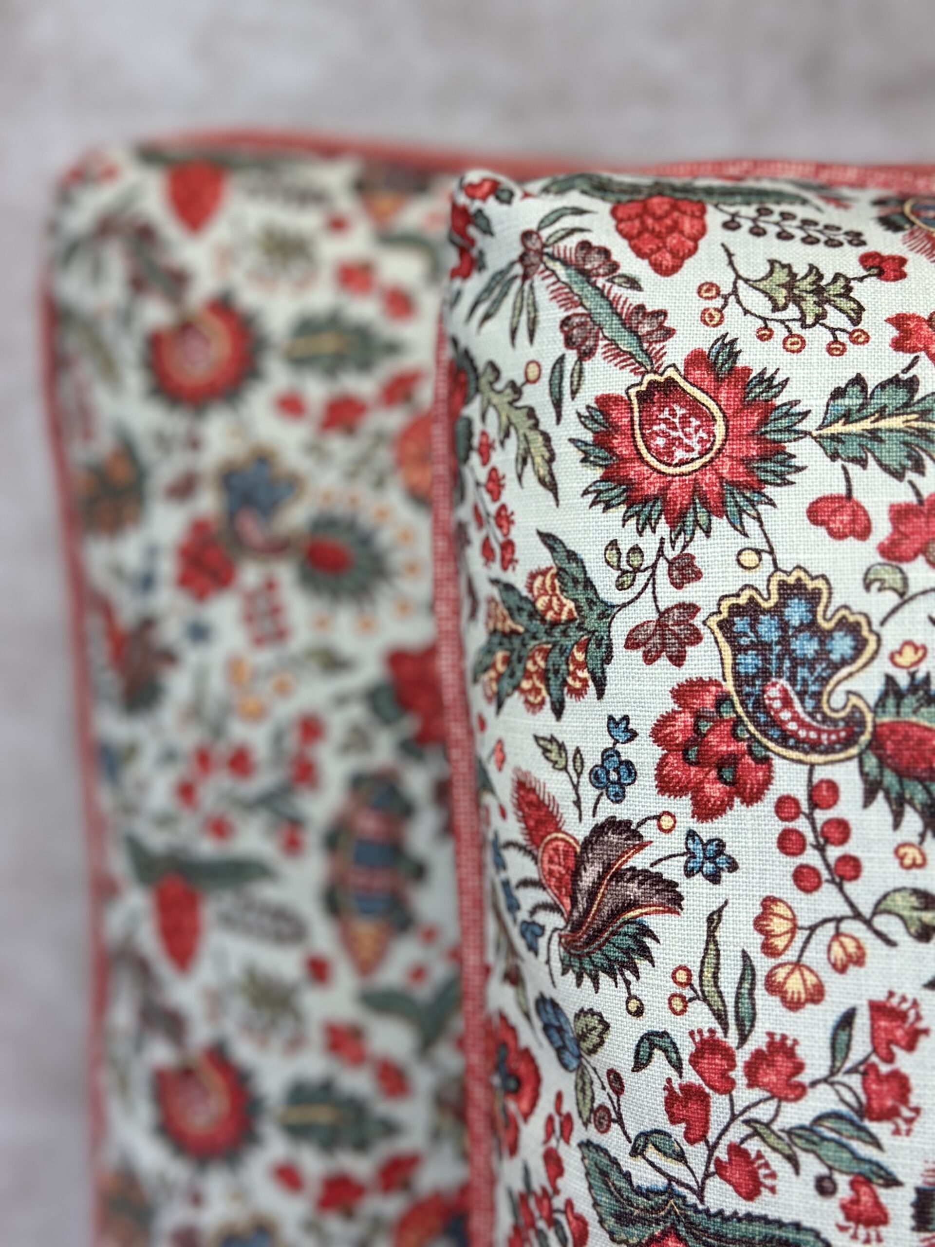 Namay Samay Keeda Pillows